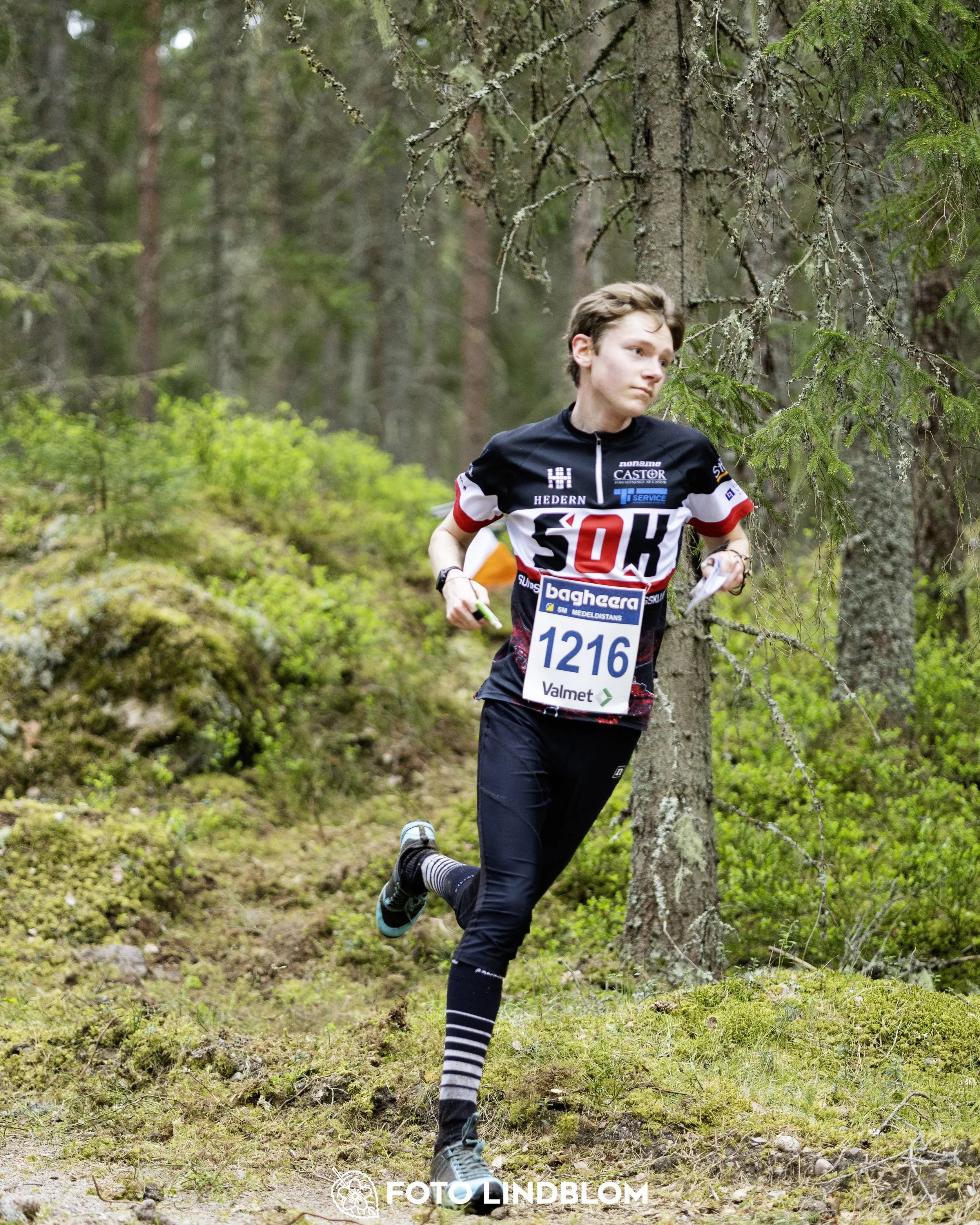 A picture from the Swedish national championship in middle distance orienteering and Swedish league race