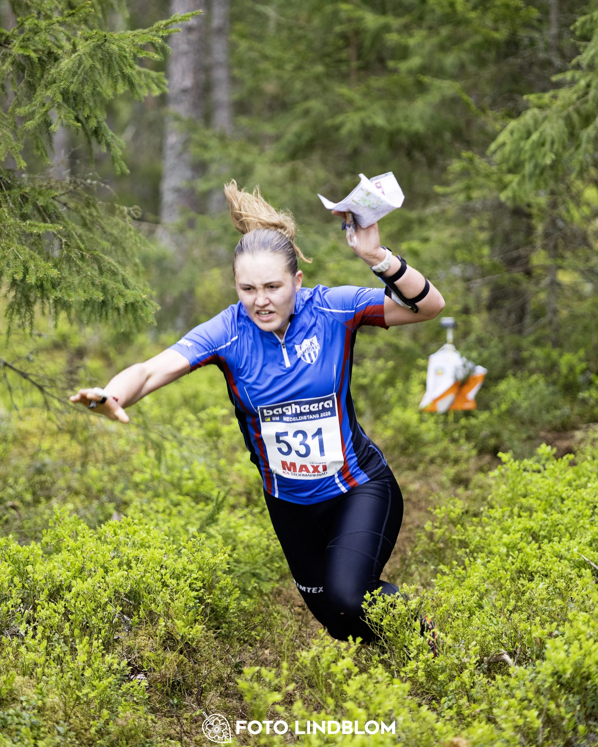 A picture from the Swedish national championship in middle distance orienteering and Swedish league race
