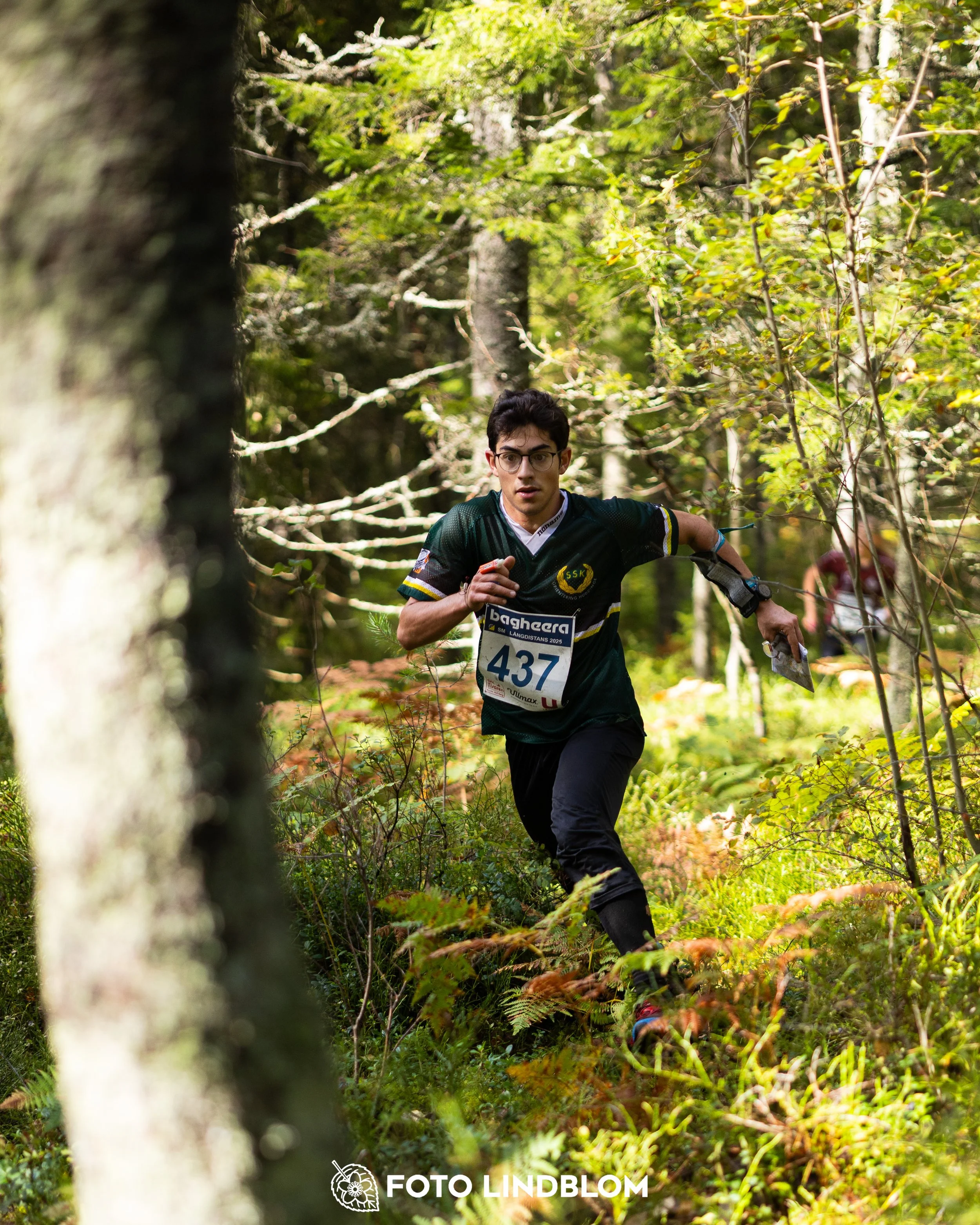 A picture from the Swedish national championship in long distance orienteering and Swedish league race taken by Foto Lindblom