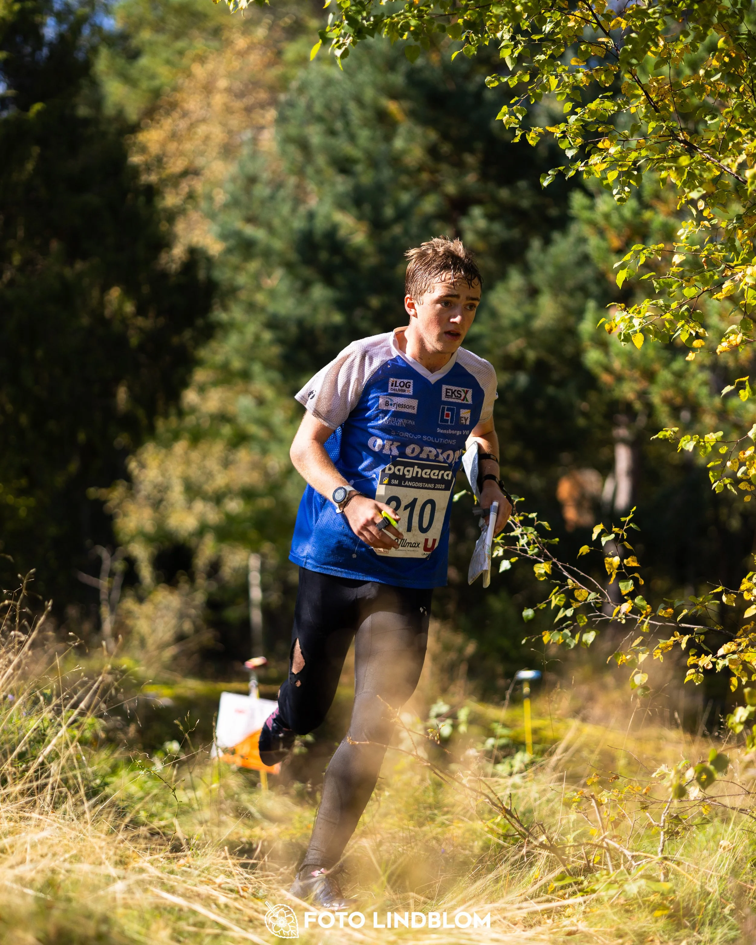 A picture from the Swedish national championship in long distance orienteering and Swedish league race taken by Foto Lindblom
