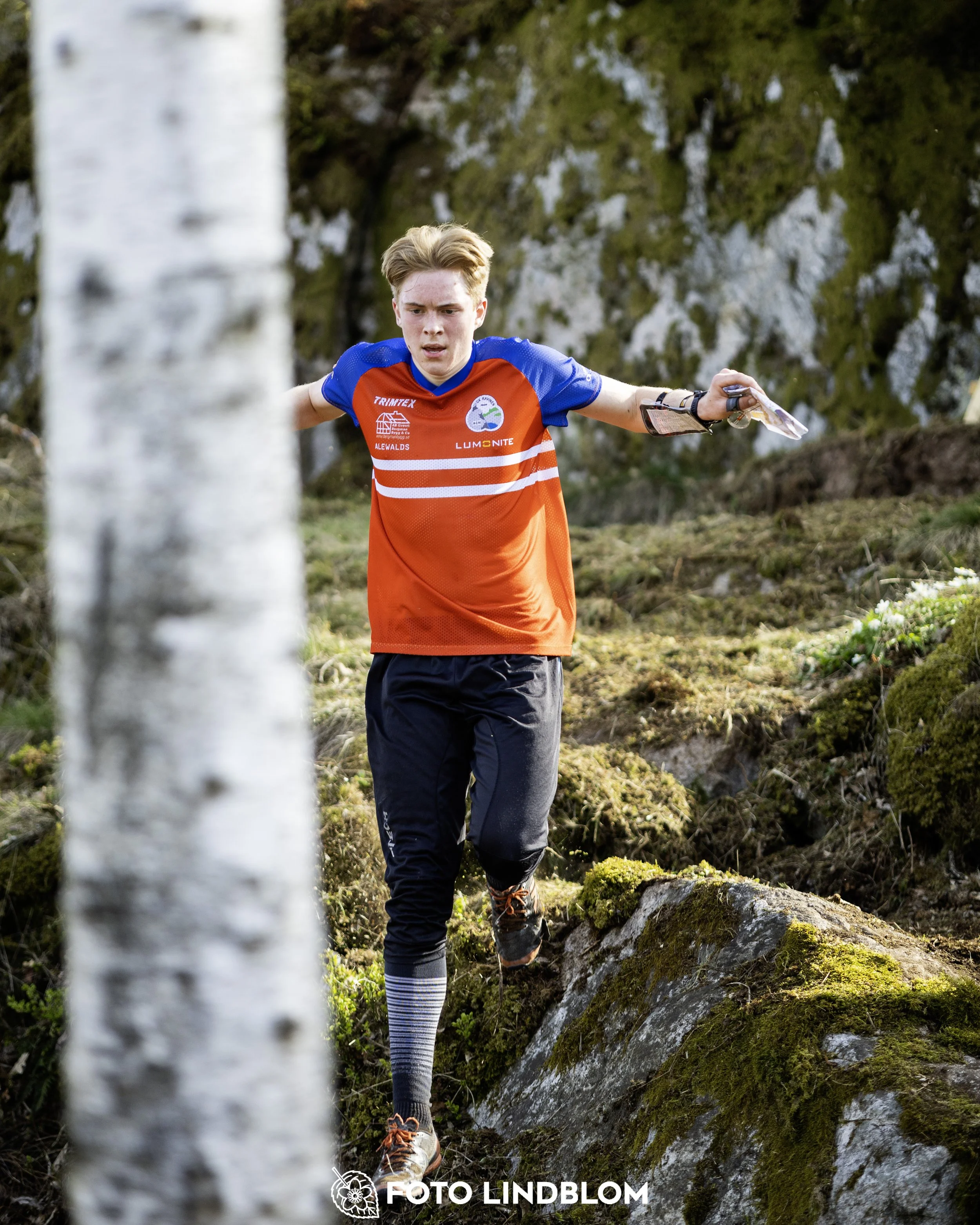 A picture from the third stage of the Swedish League orienteering competition