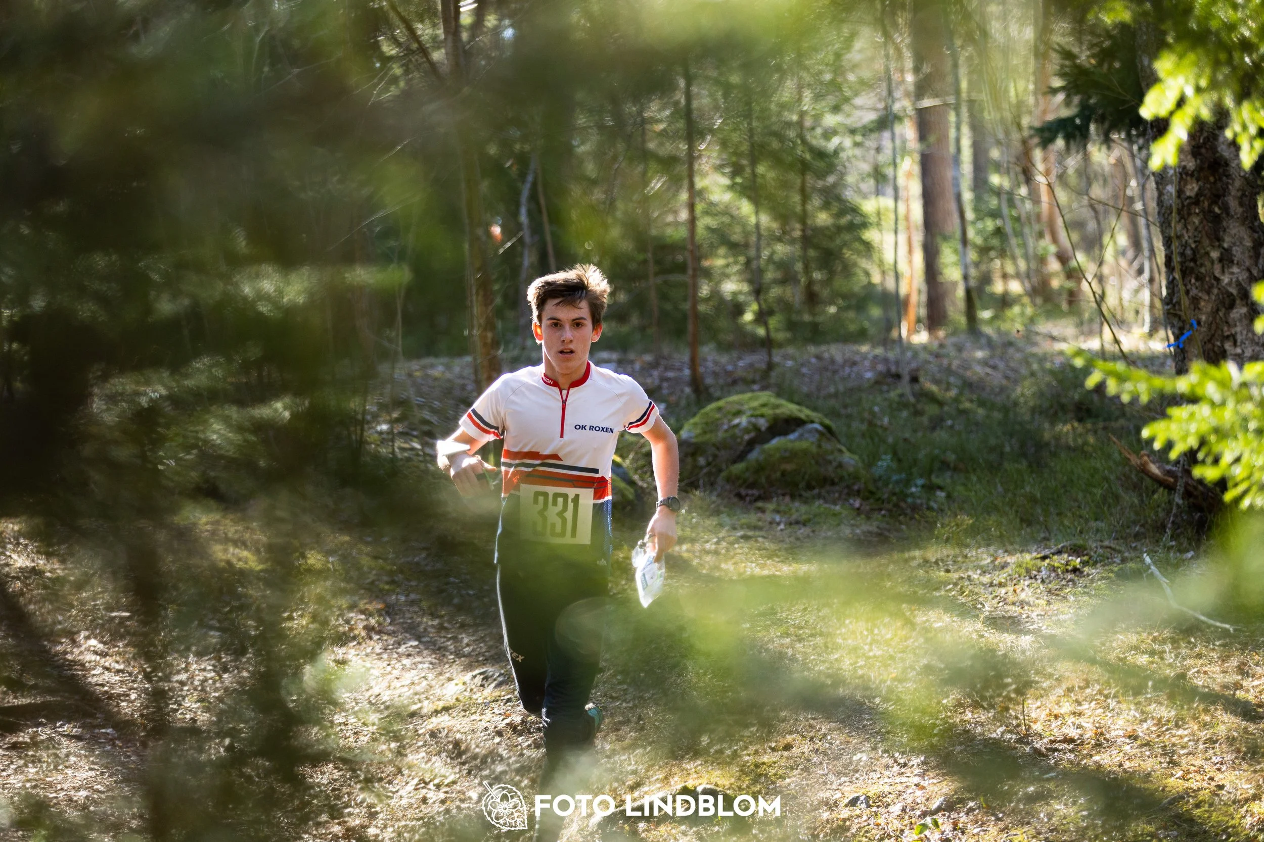 Orienteering in forest terrain at Nyköpingsorienteringen 2026, photographed by Foto Lindblom.