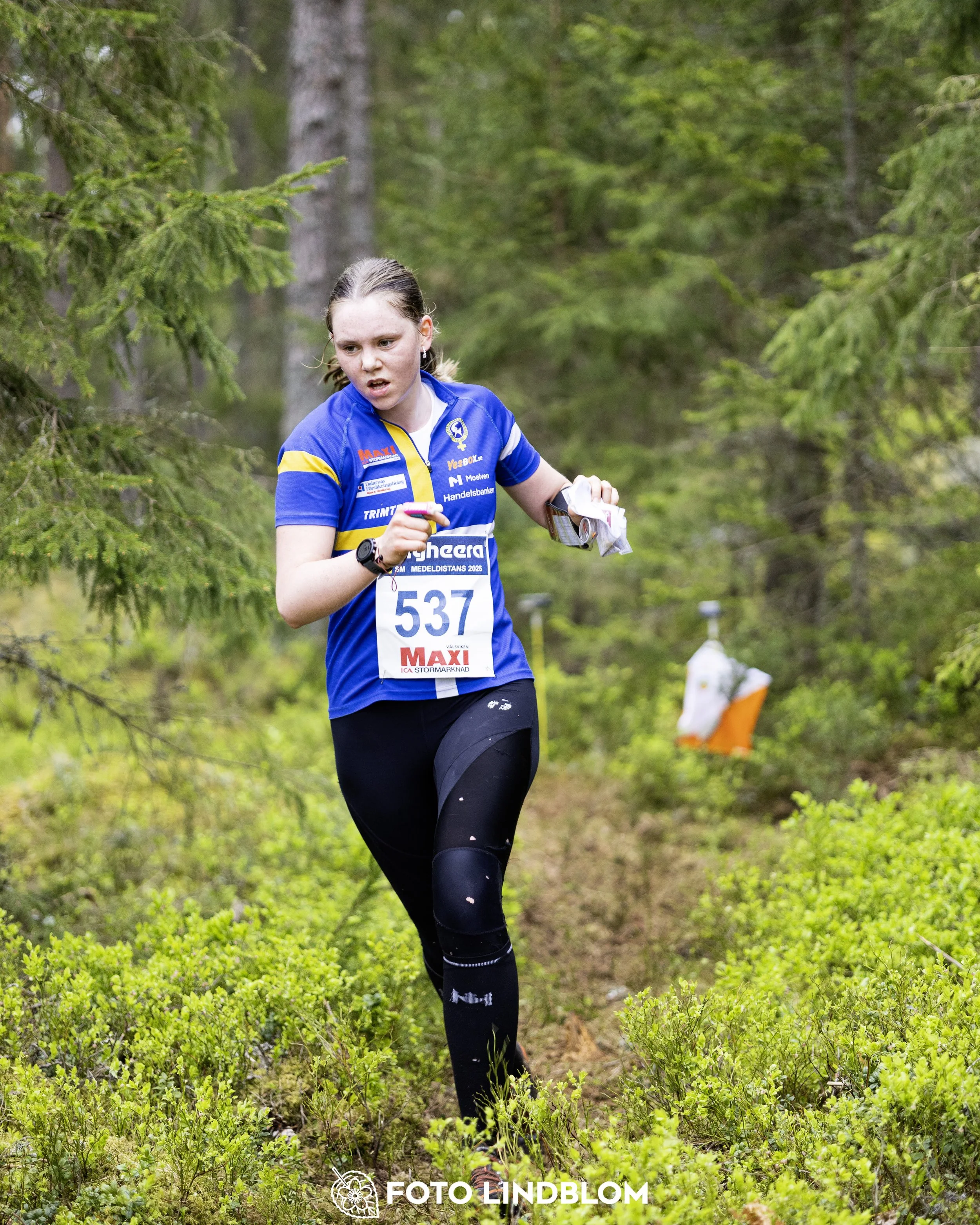 A picture from the Swedish national championship in middle distance orienteering and Swedish league race