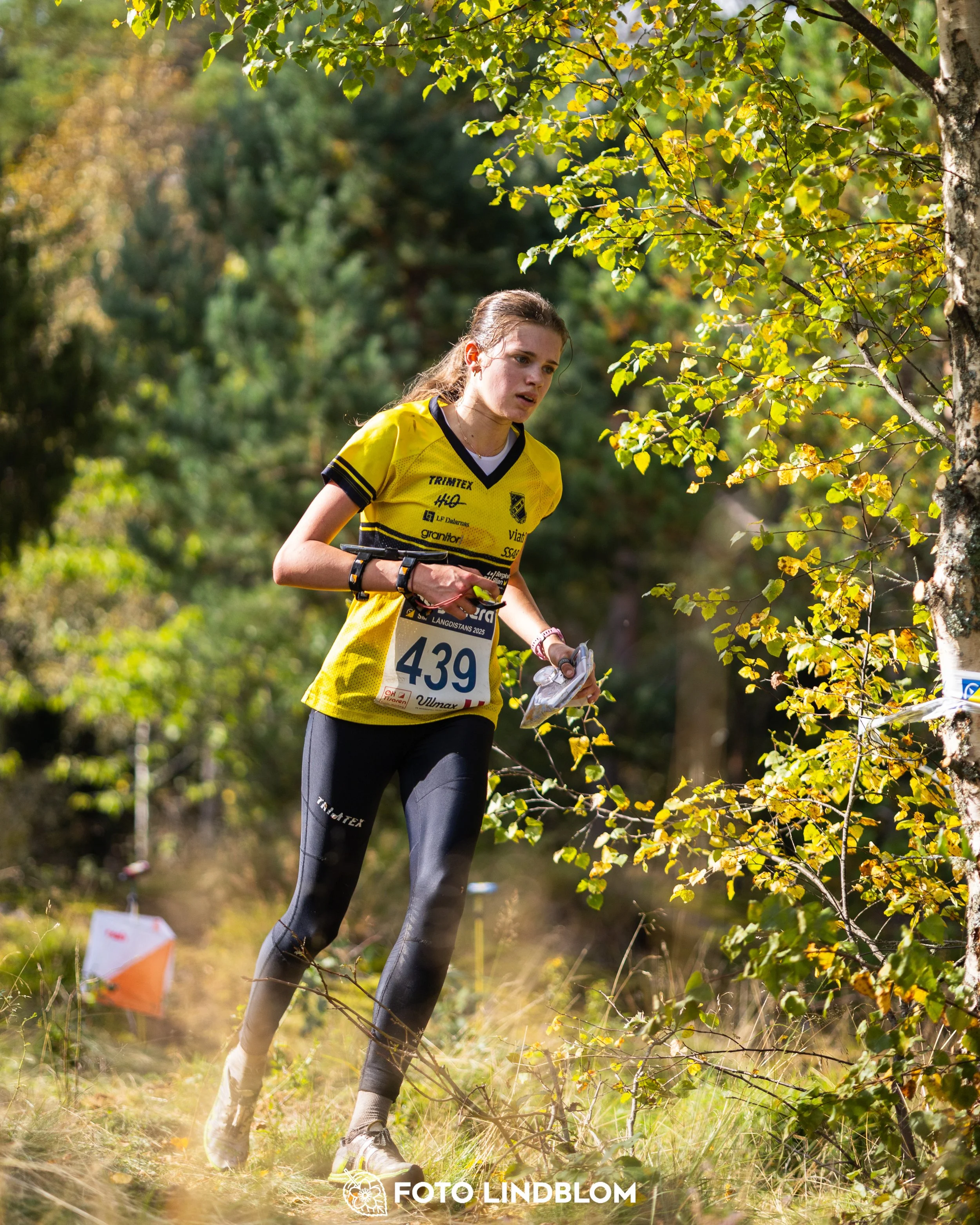 A picture from the Swedish national championship in long distance orienteering and Swedish league race taken by Foto Lindblom