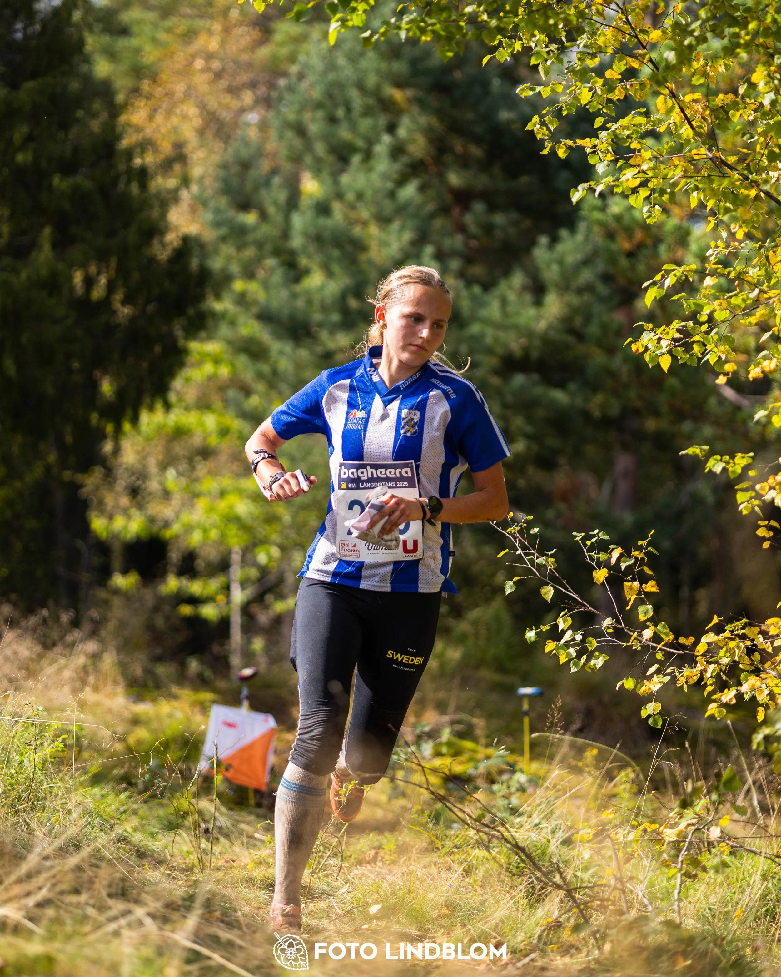 A picture from the Swedish national championship in long distance orienteering and Swedish league race taken by Foto Lindblom