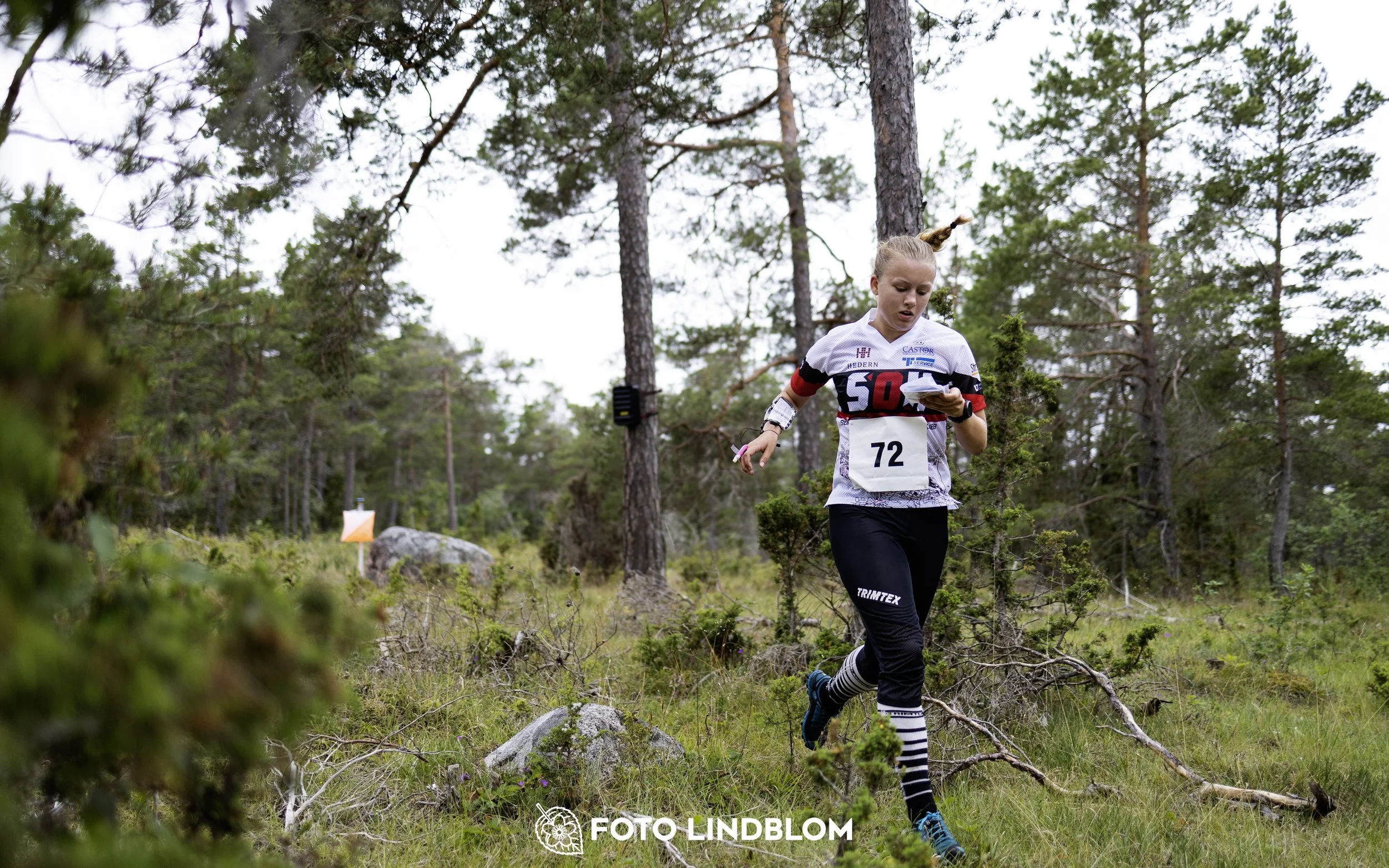 A picture from the Gotlands 2-Dagars orienteering competition
