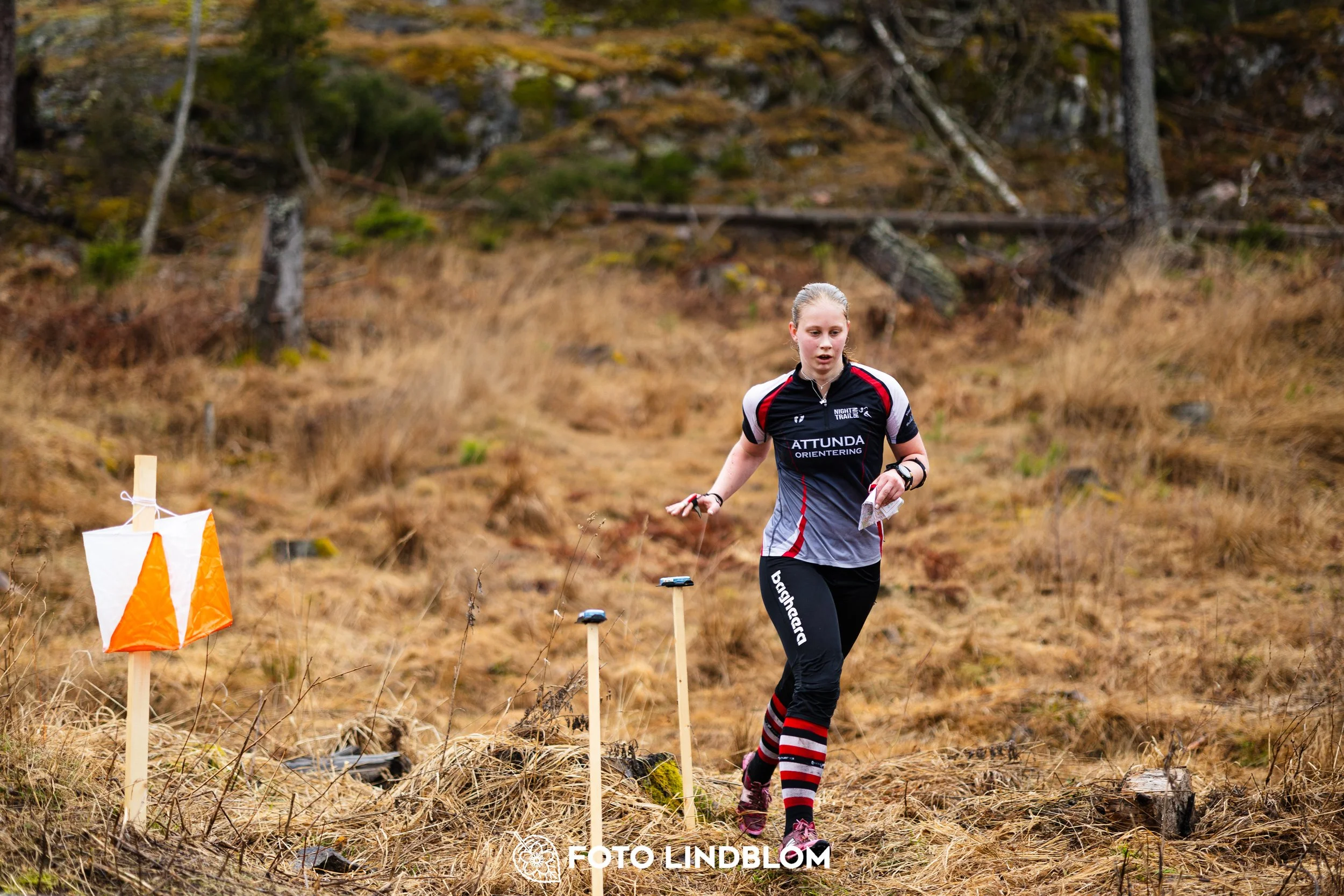 A photo from a forest orienteering competition in Kolmården as part of the Swedish League 2026 season, captured by Foto Lindblom.