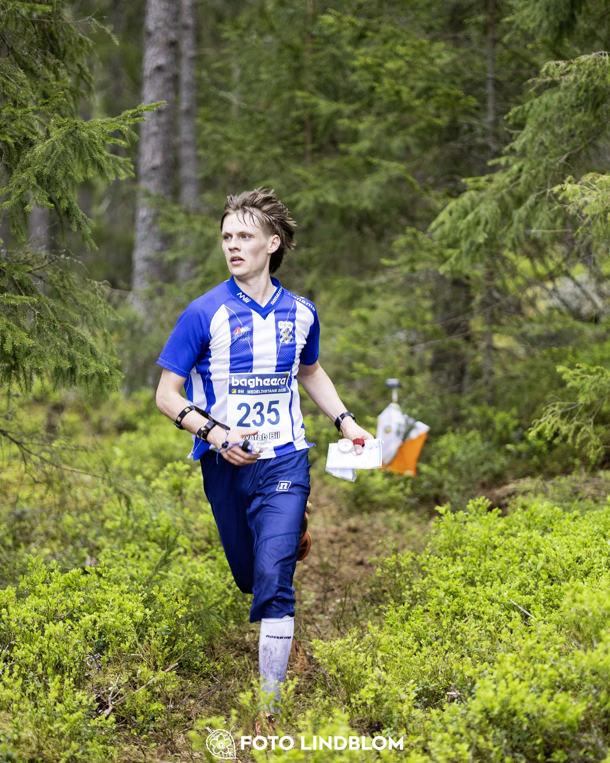 A picture from the Swedish national championship in middle distance orienteering and Swedish league race