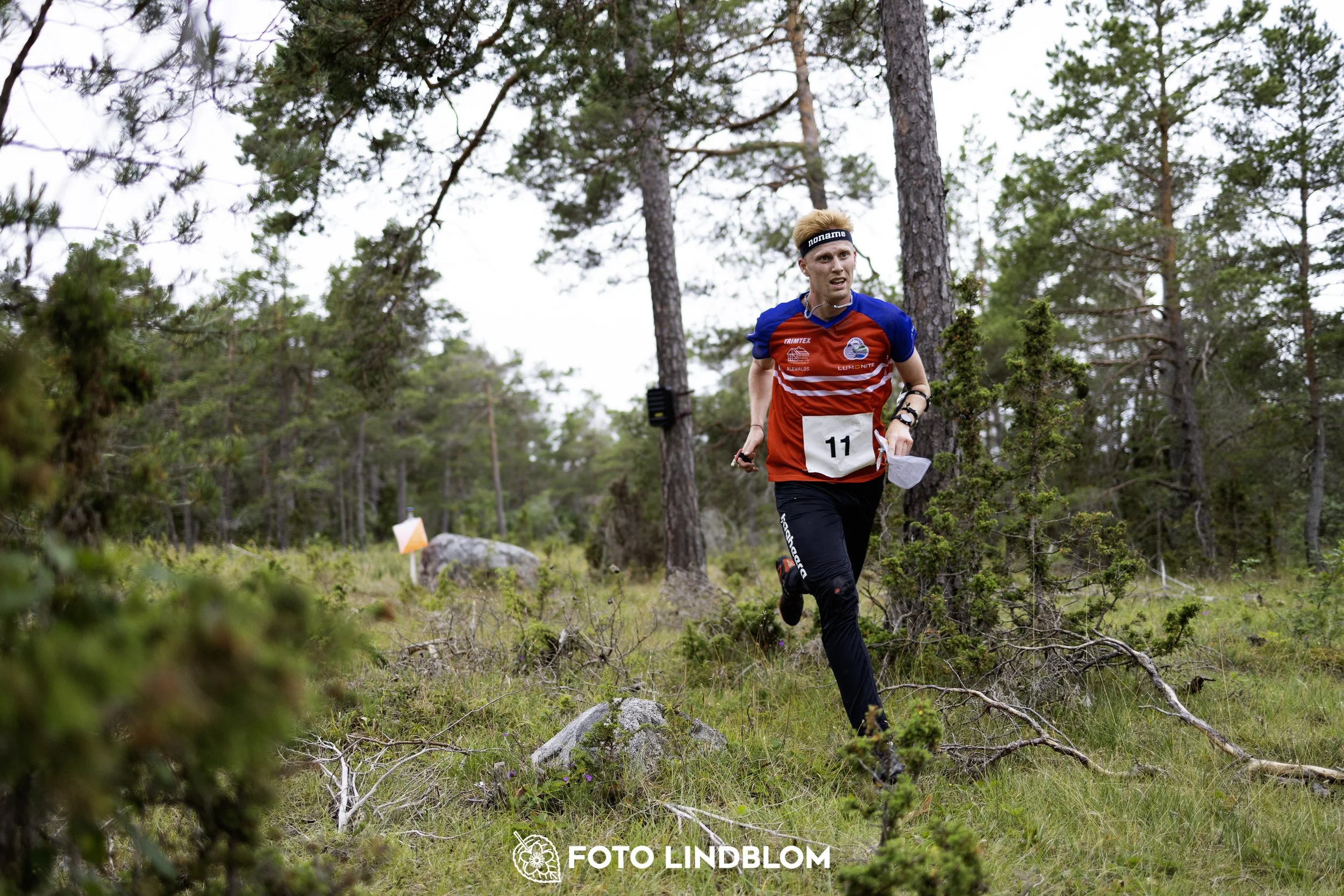 A picture from the Gotlands 2-Dagars orienteering competition