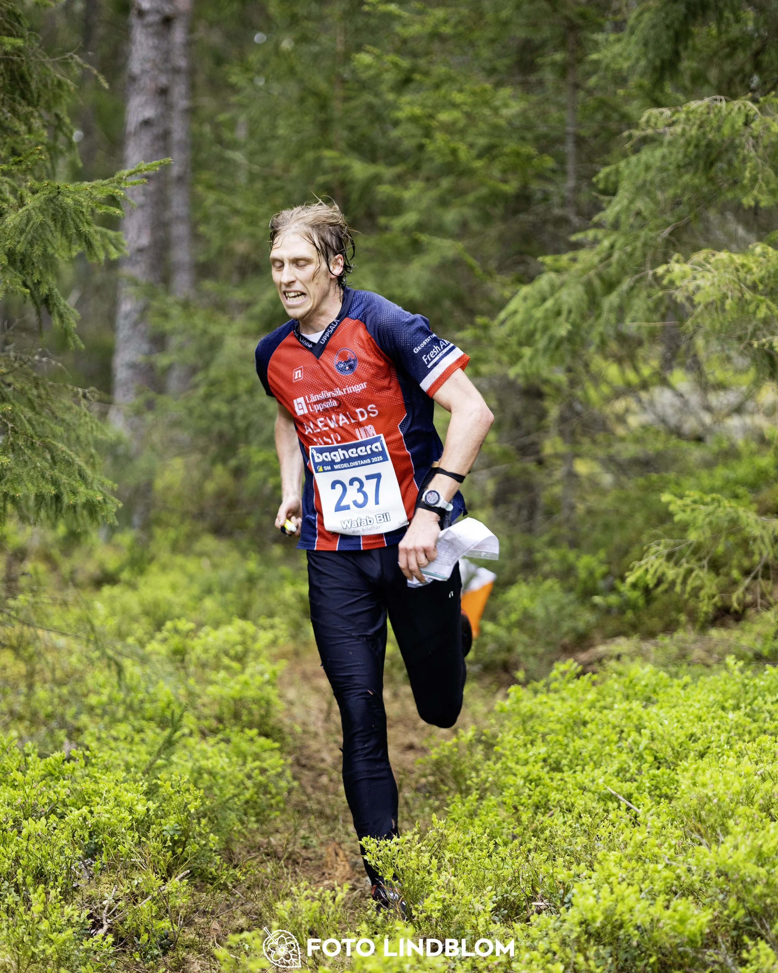 A picture from the Swedish national championship in middle distance orienteering and Swedish league race