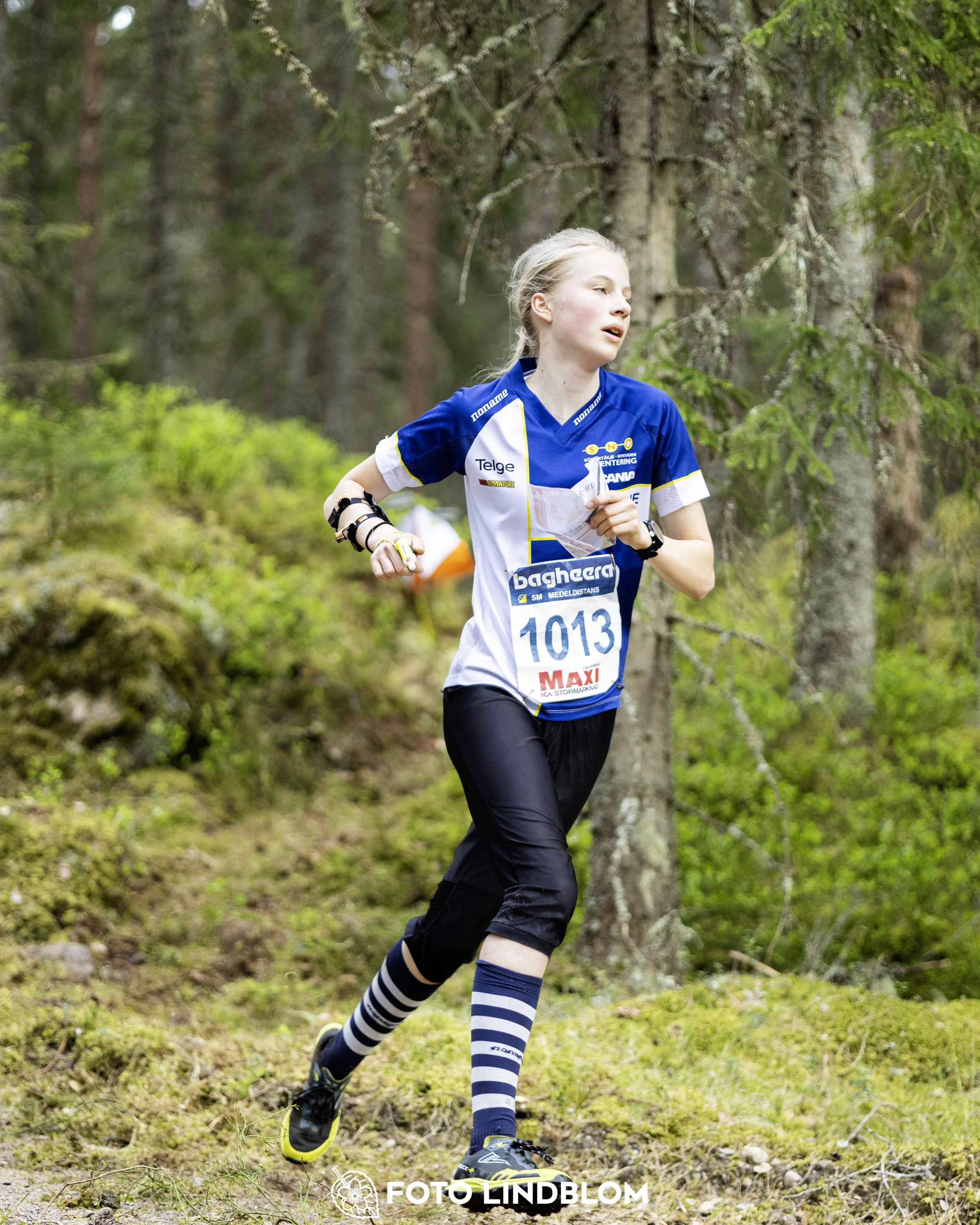 A picture from the Swedish national championship in middle distance orienteering and Swedish league race