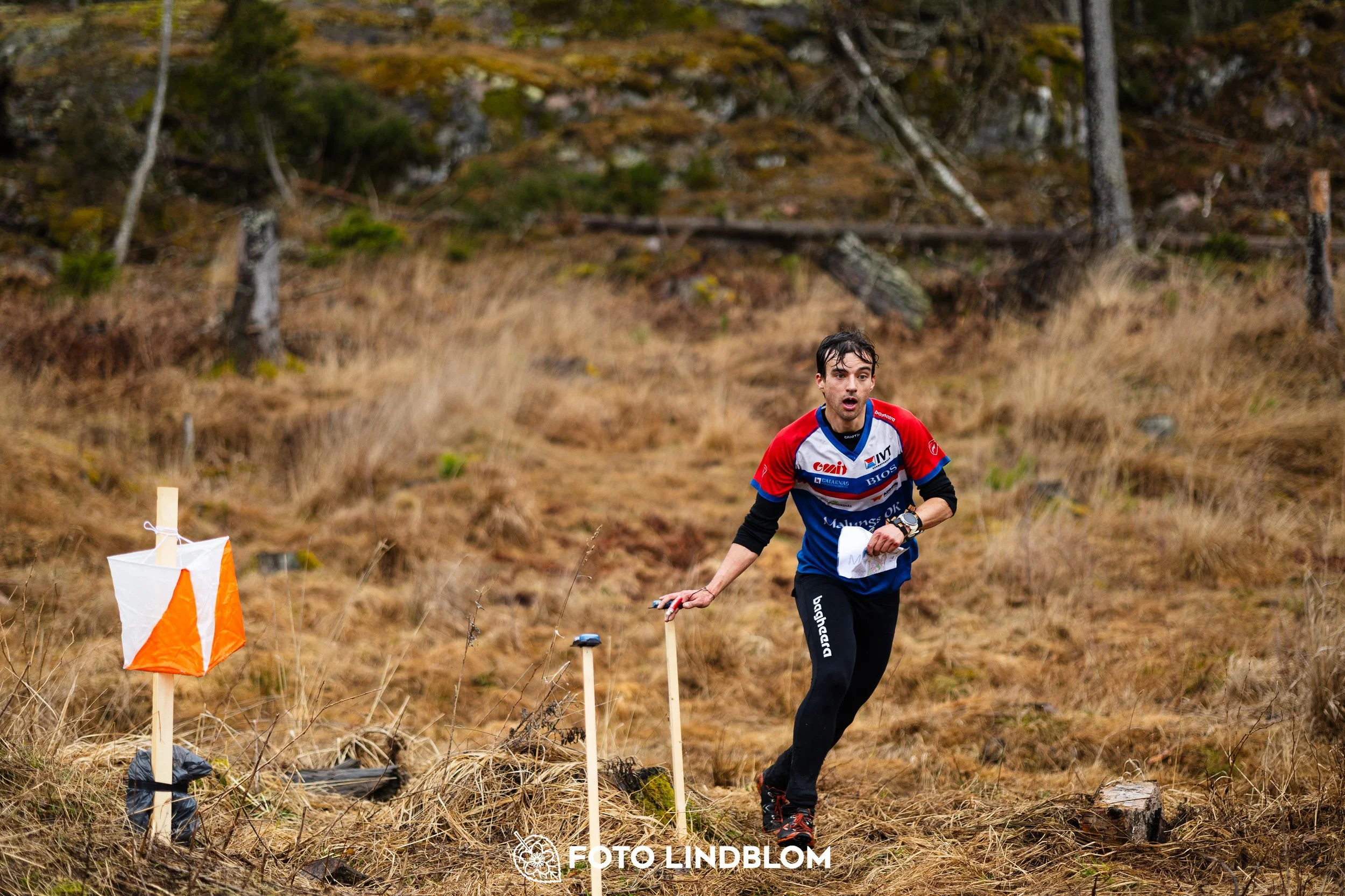 A photo from an orienteering race in Kolmården during the Swedish League spring season 2026, captured by Foto Lindblom.