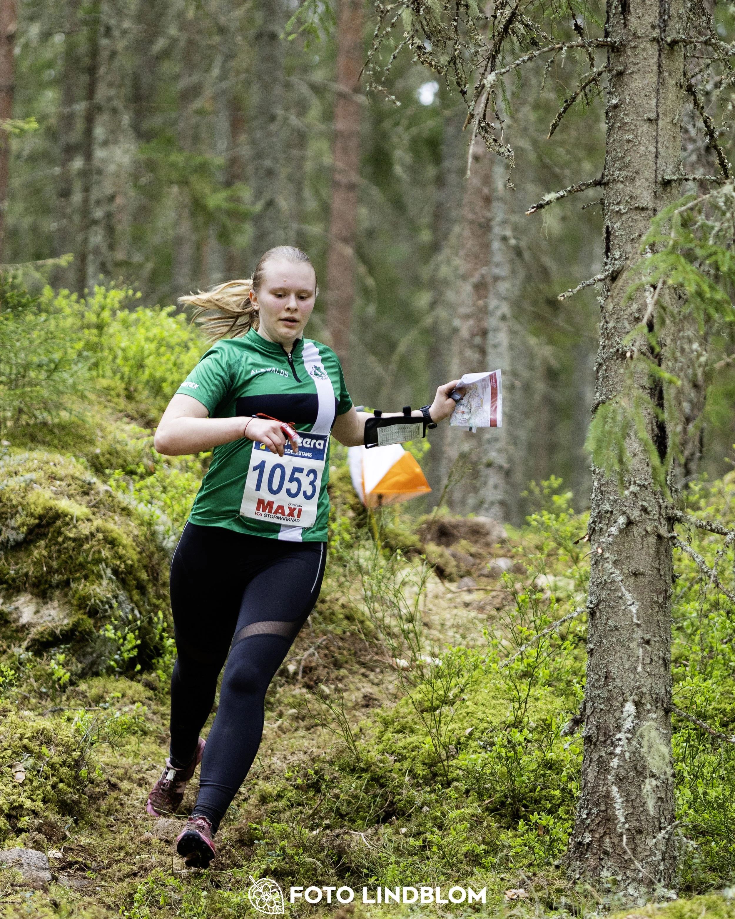 A picture from the Swedish national championship in middle distance orienteering and Swedish league race