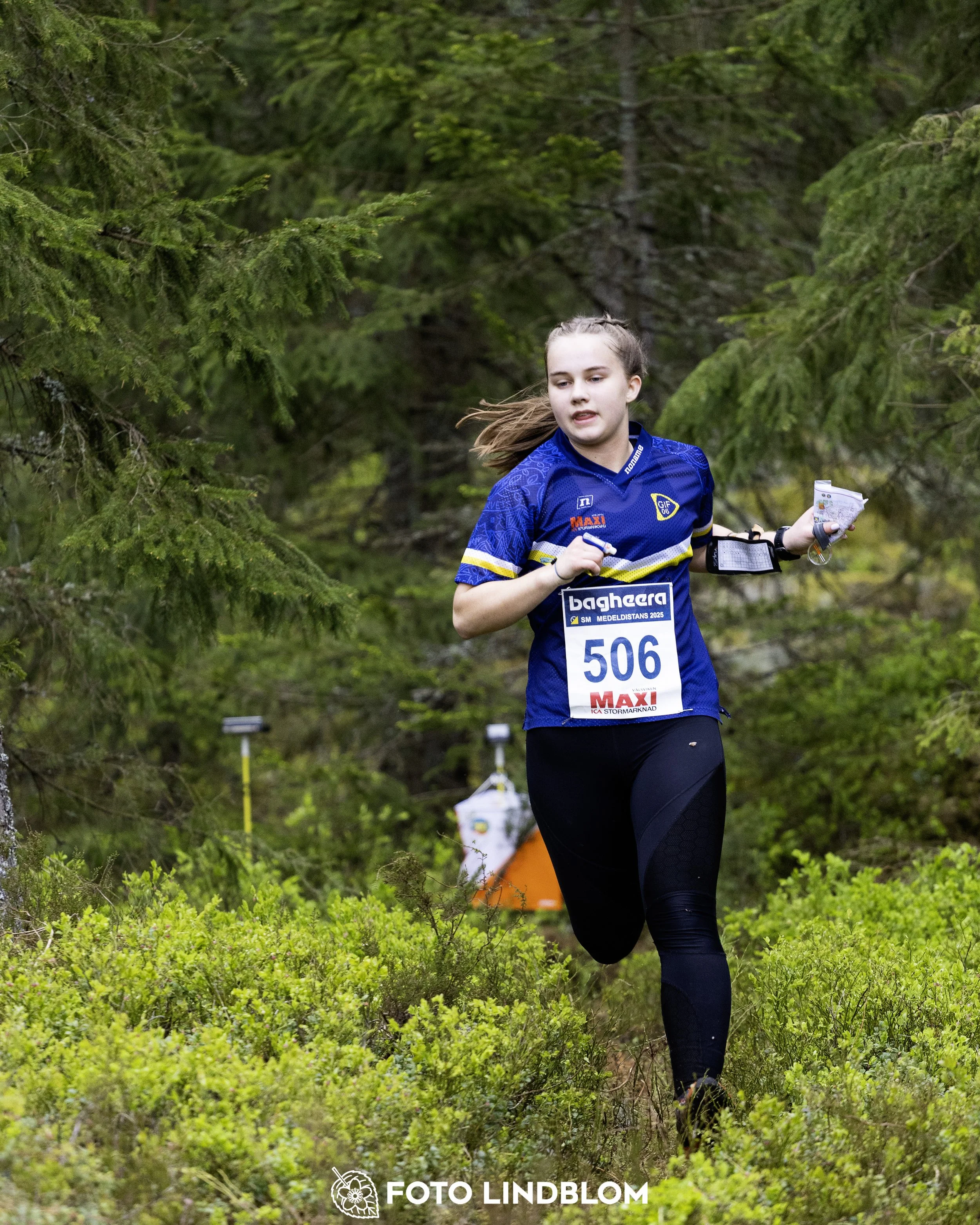 A picture from the Swedish national championship in middle distance orienteering and Swedish league race