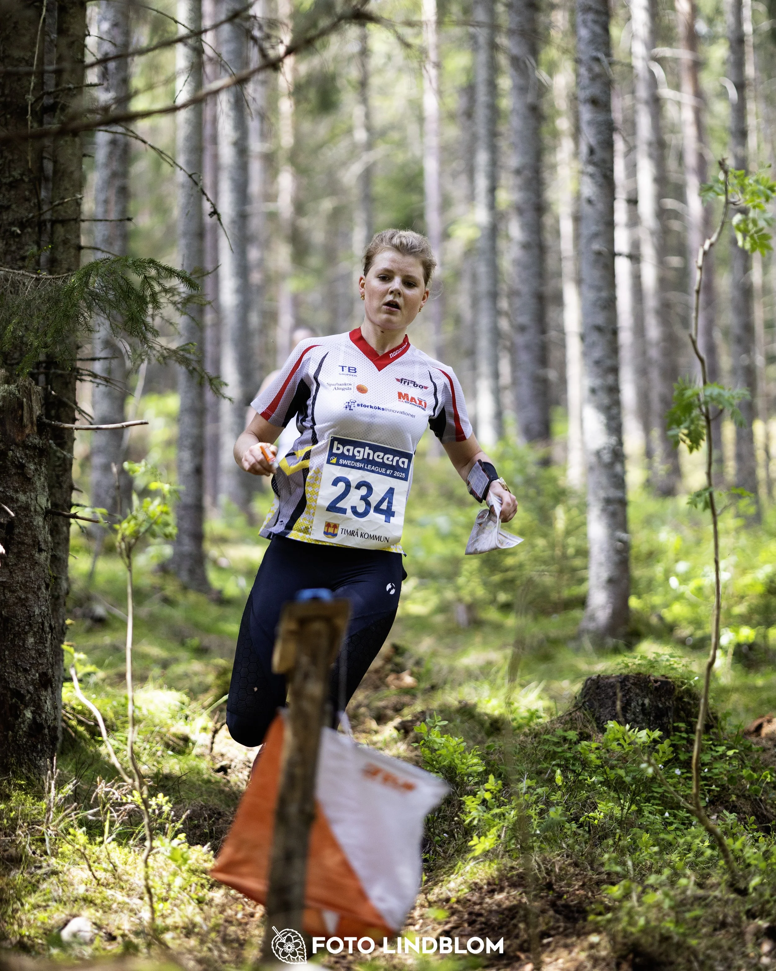 A picture from the seventh stage of the Swedish League orienteering competition