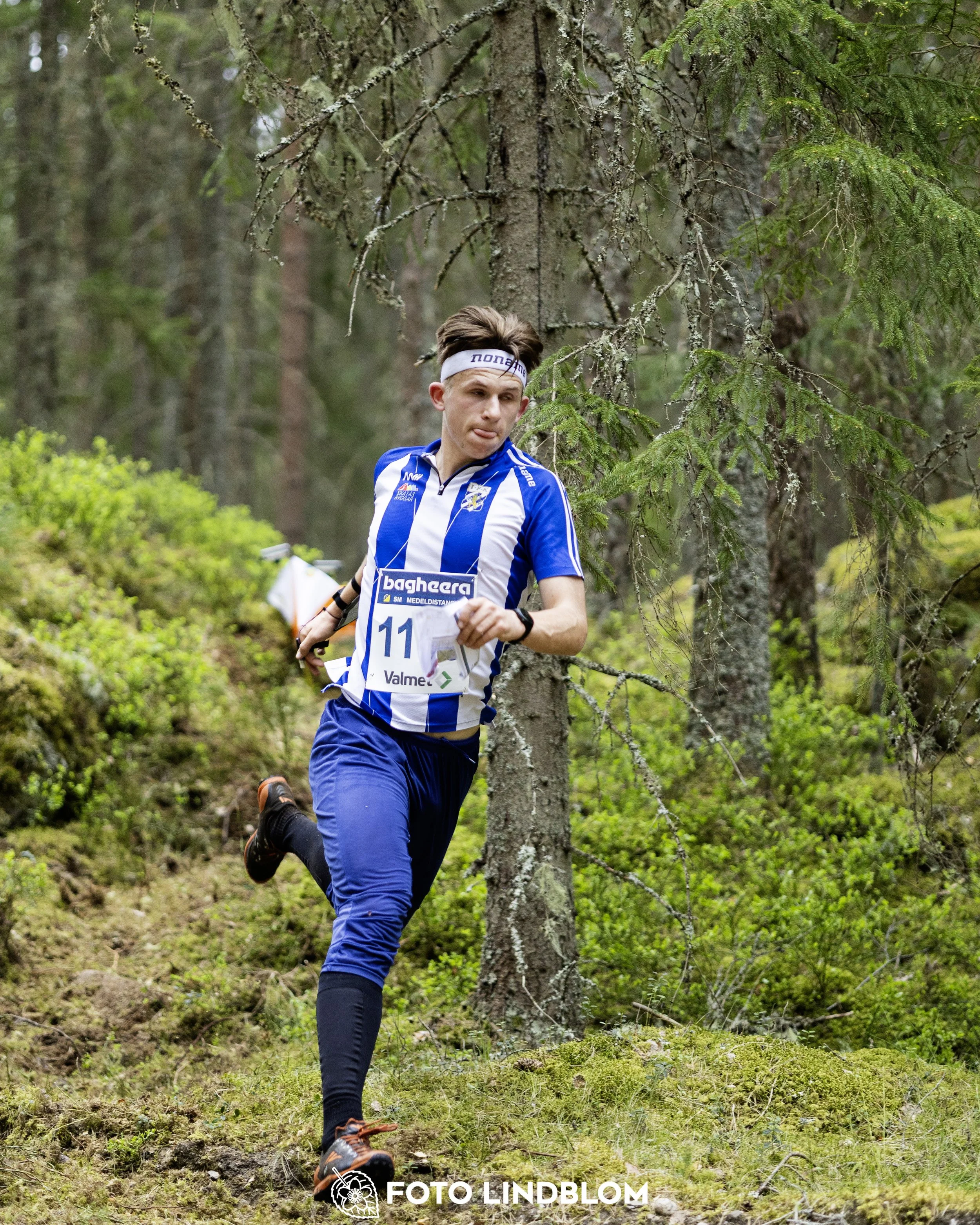 A picture from the Swedish national championship in middle distance orienteering and Swedish league race