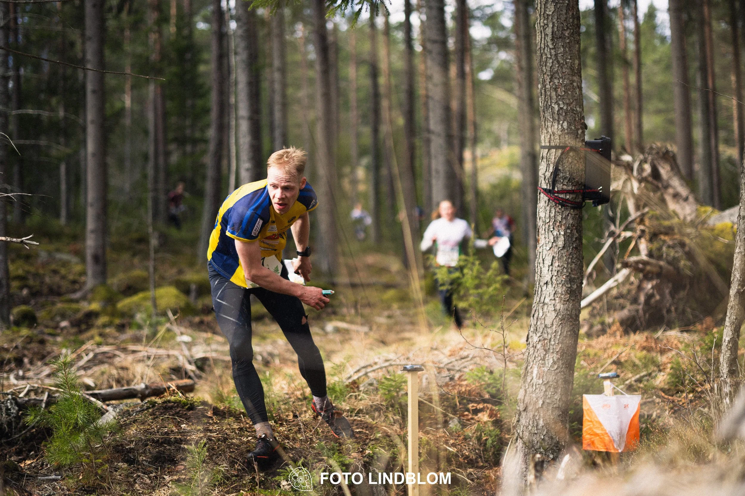 A scene from Kolmårdskavlen, the opening stage of the Swedish relay league 2026, captured by Foto Lindblom.