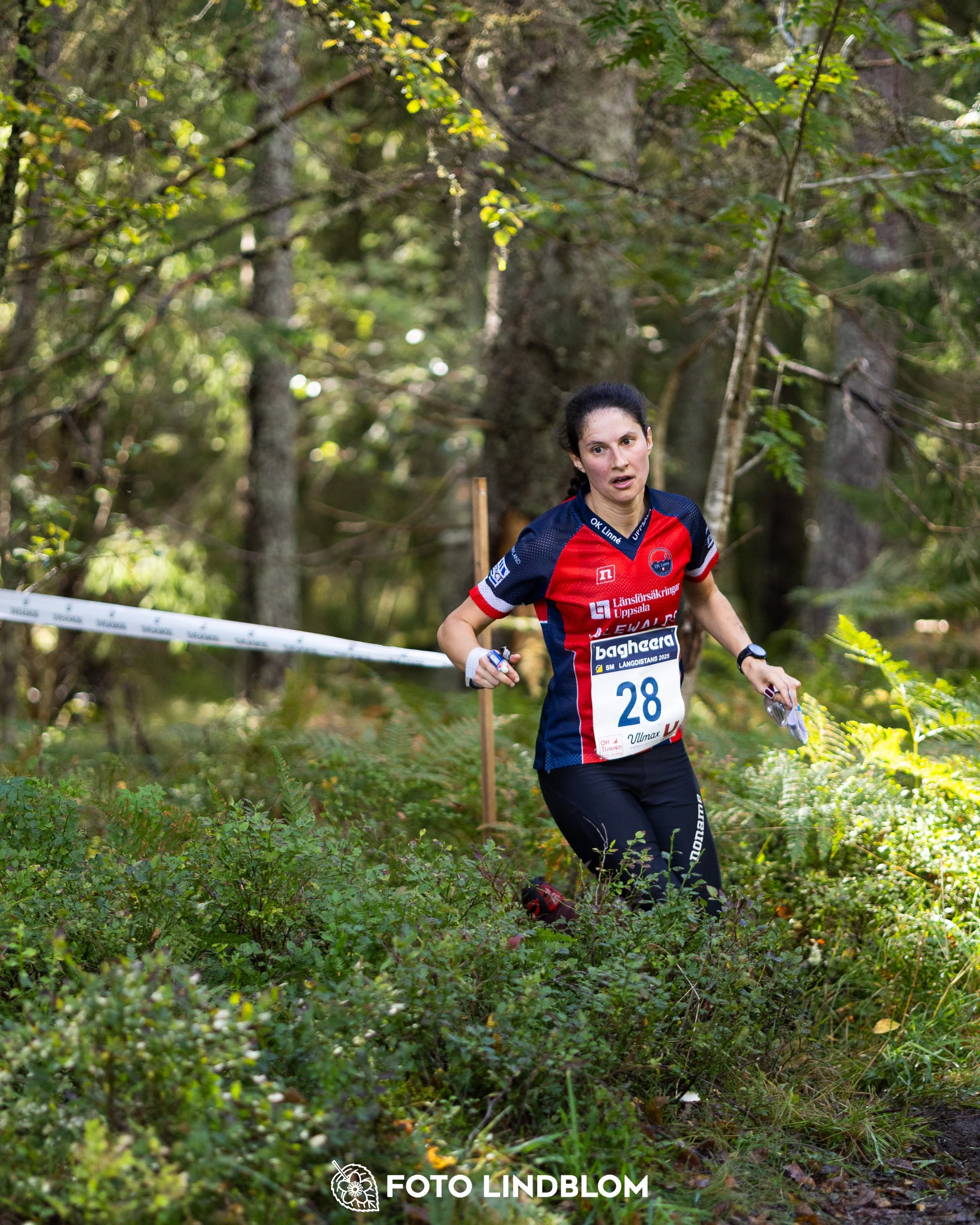 A picture from the Swedish national championship in long distance orienteering and Swedish league race taken by Foto Lindblom