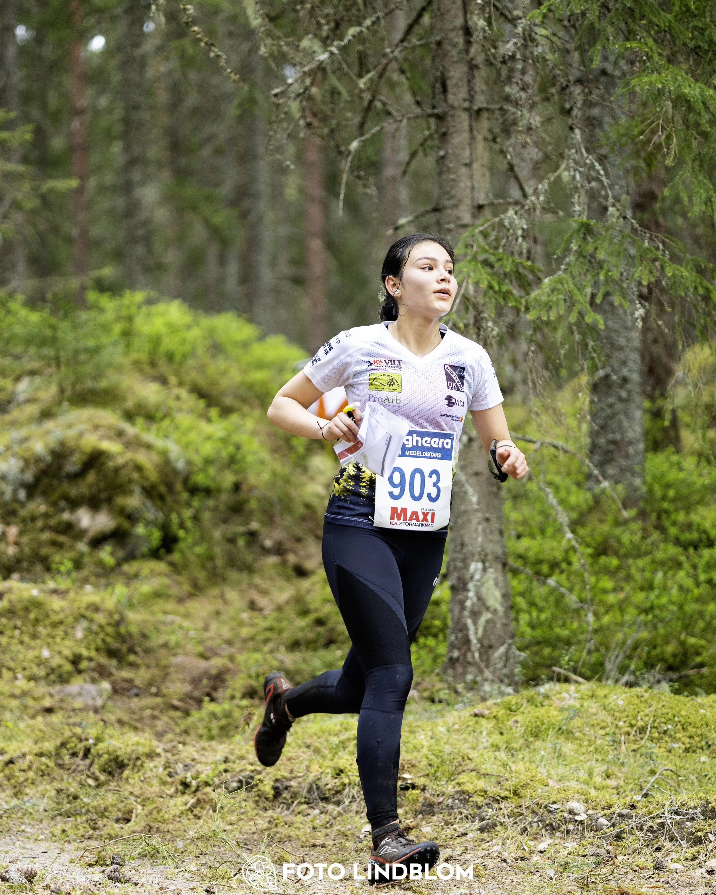 A picture from the Swedish national championship in middle distance orienteering and Swedish league race