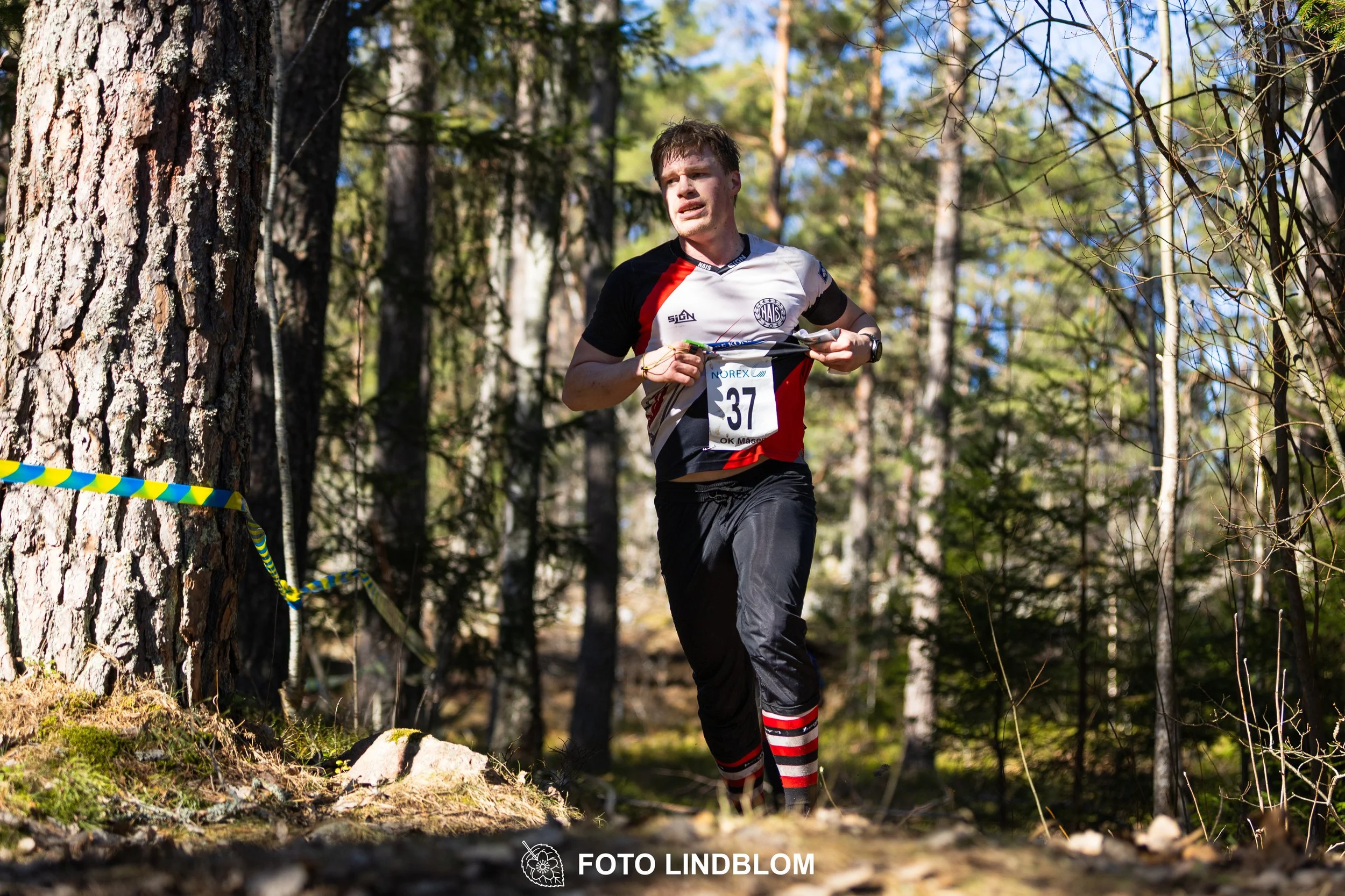 Swedish orienteering relay event Måsenstafetten 2026, with teams racing through forest terrain, captured by Foto Lindblom.