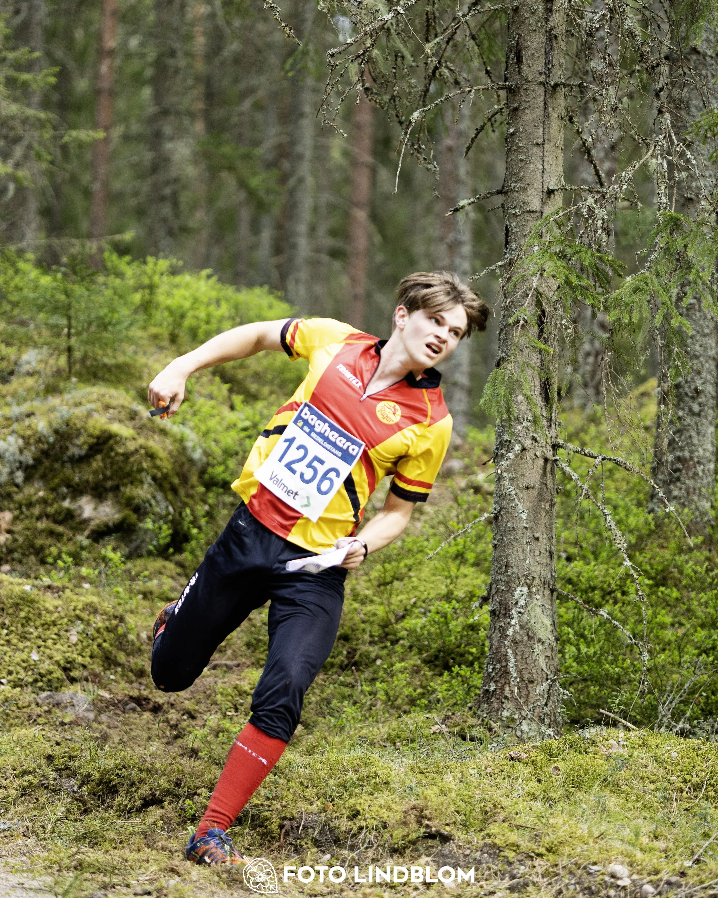 A picture from the Swedish national championship in middle distance orienteering and Swedish league race