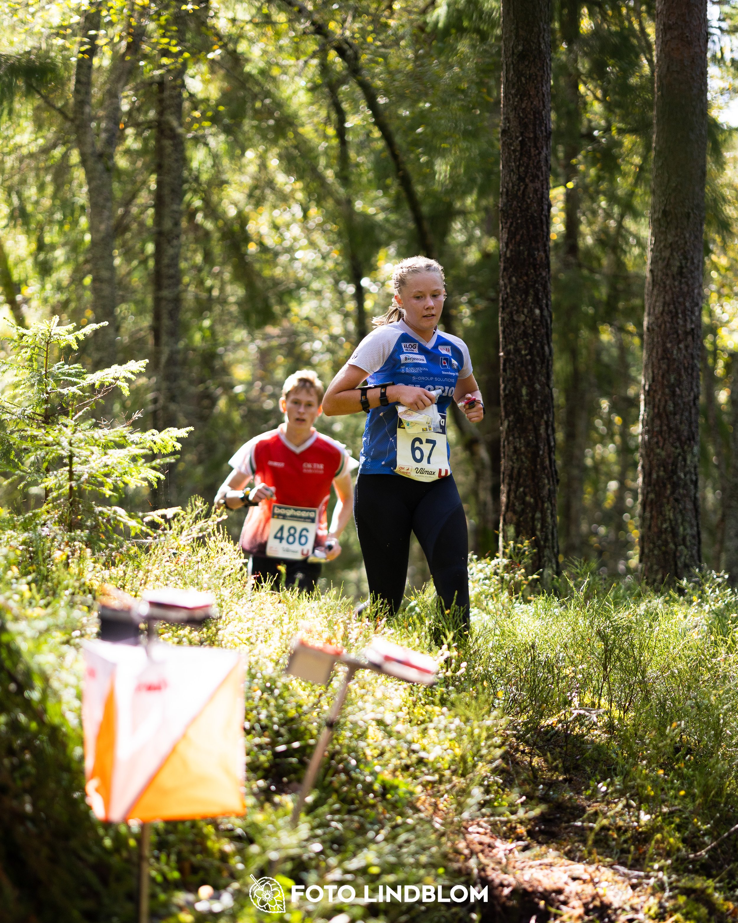 A picture from the Swedish national championship in long distance orienteering and Swedish league race taken by Foto Lindblom