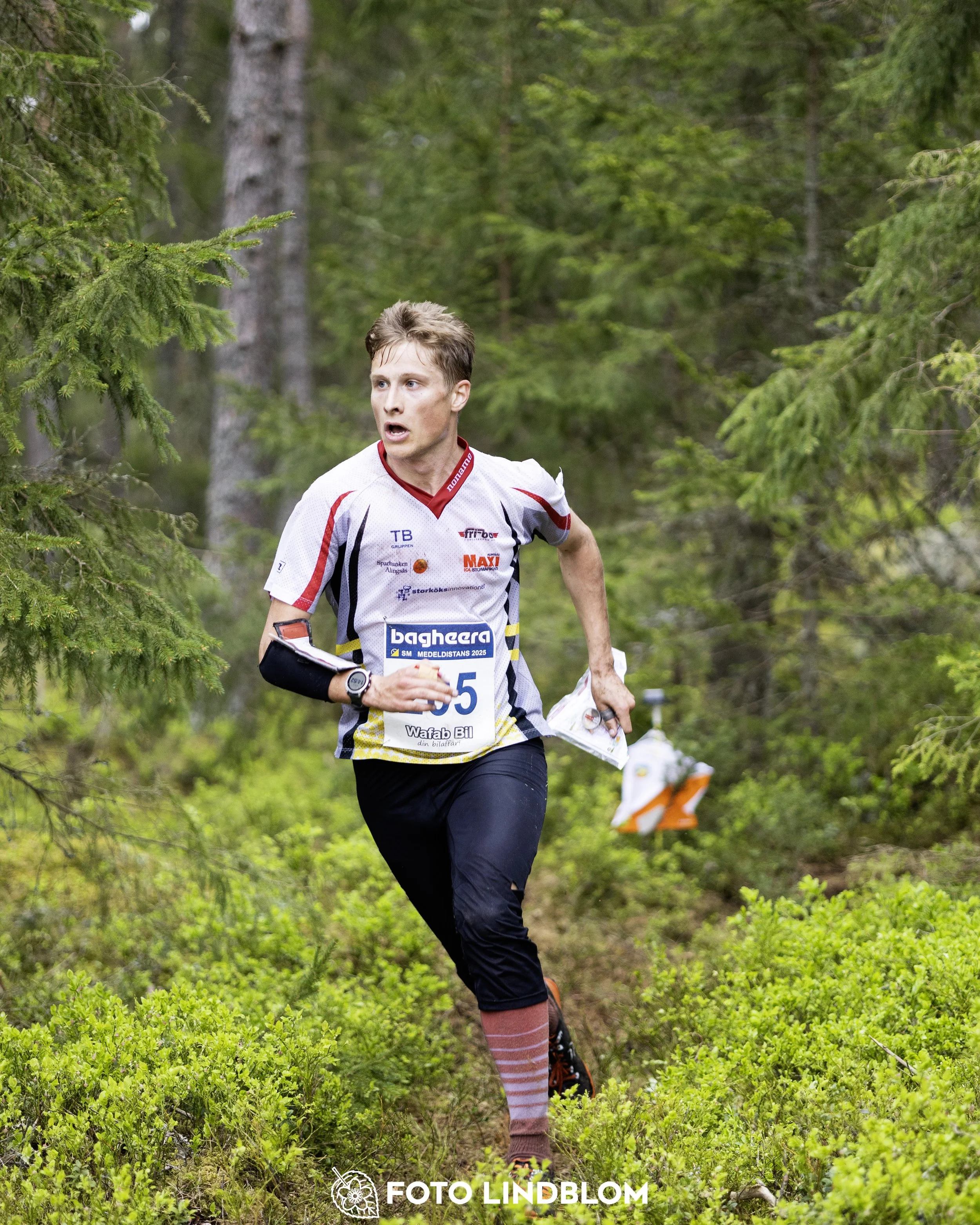A picture from the Swedish national championship in middle distance orienteering and Swedish league race