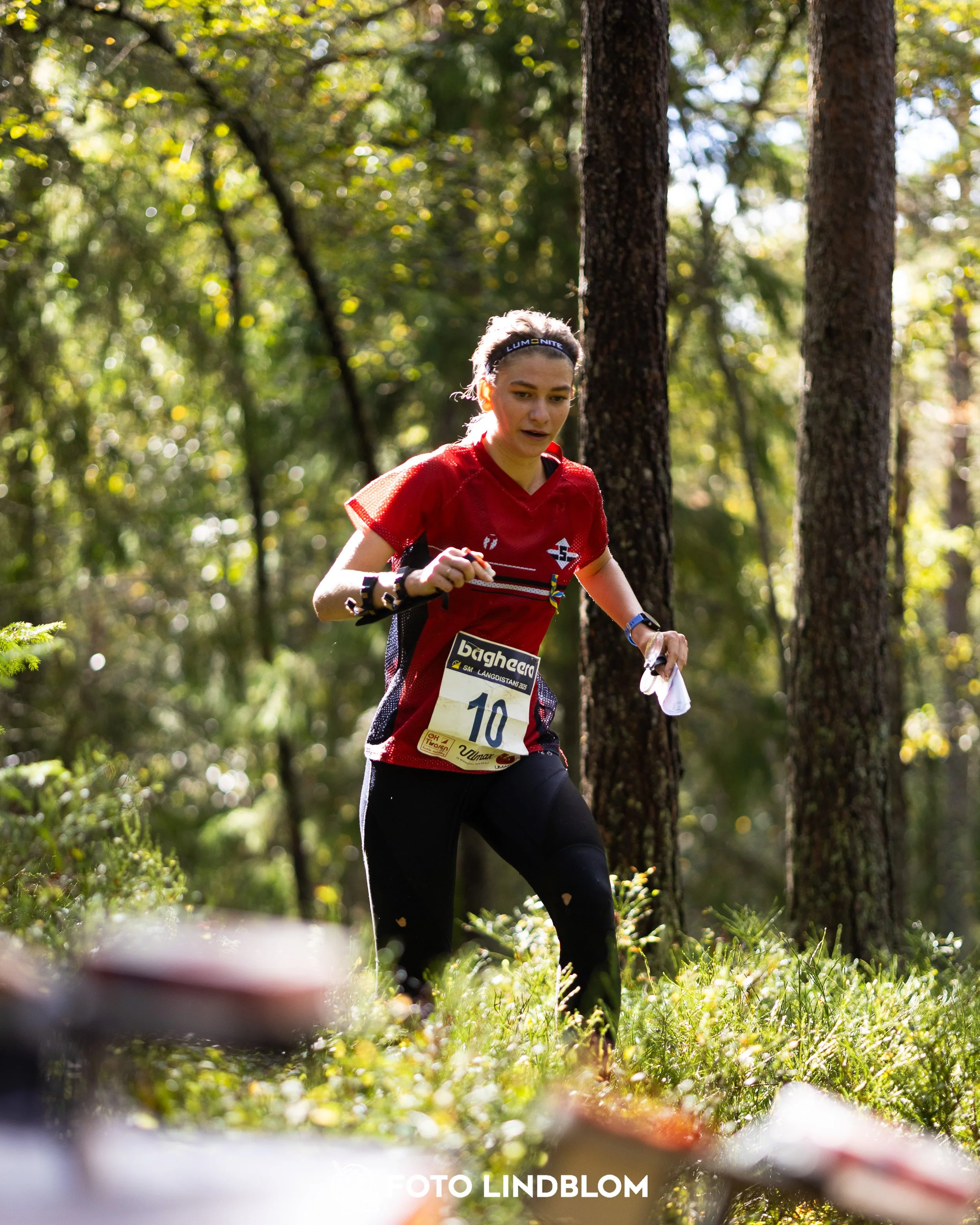 A picture from the Swedish national championship in long distance orienteering and Swedish league race taken by Foto Lindblom
