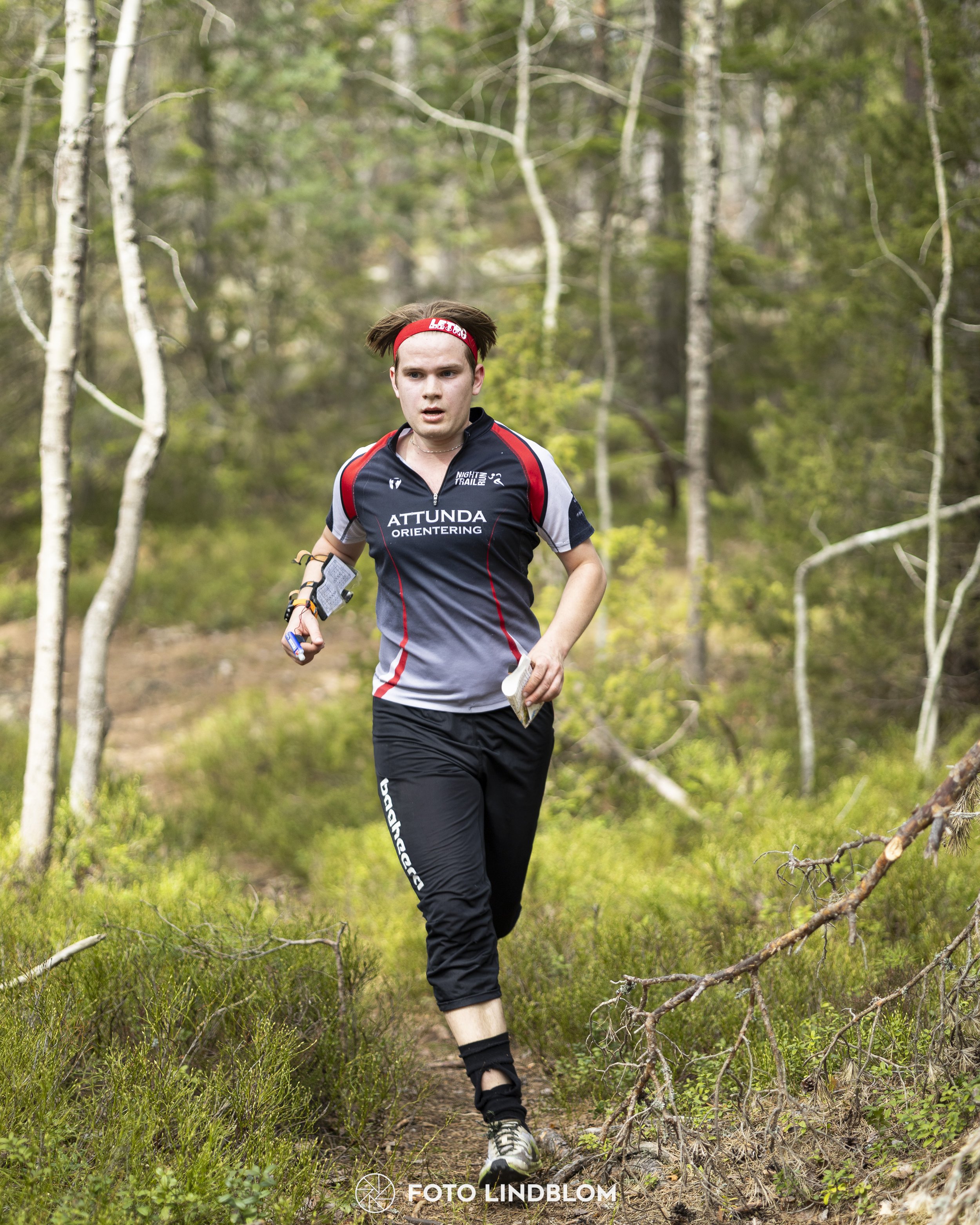 A picture from the orienteering competition "Orminge Medeln"