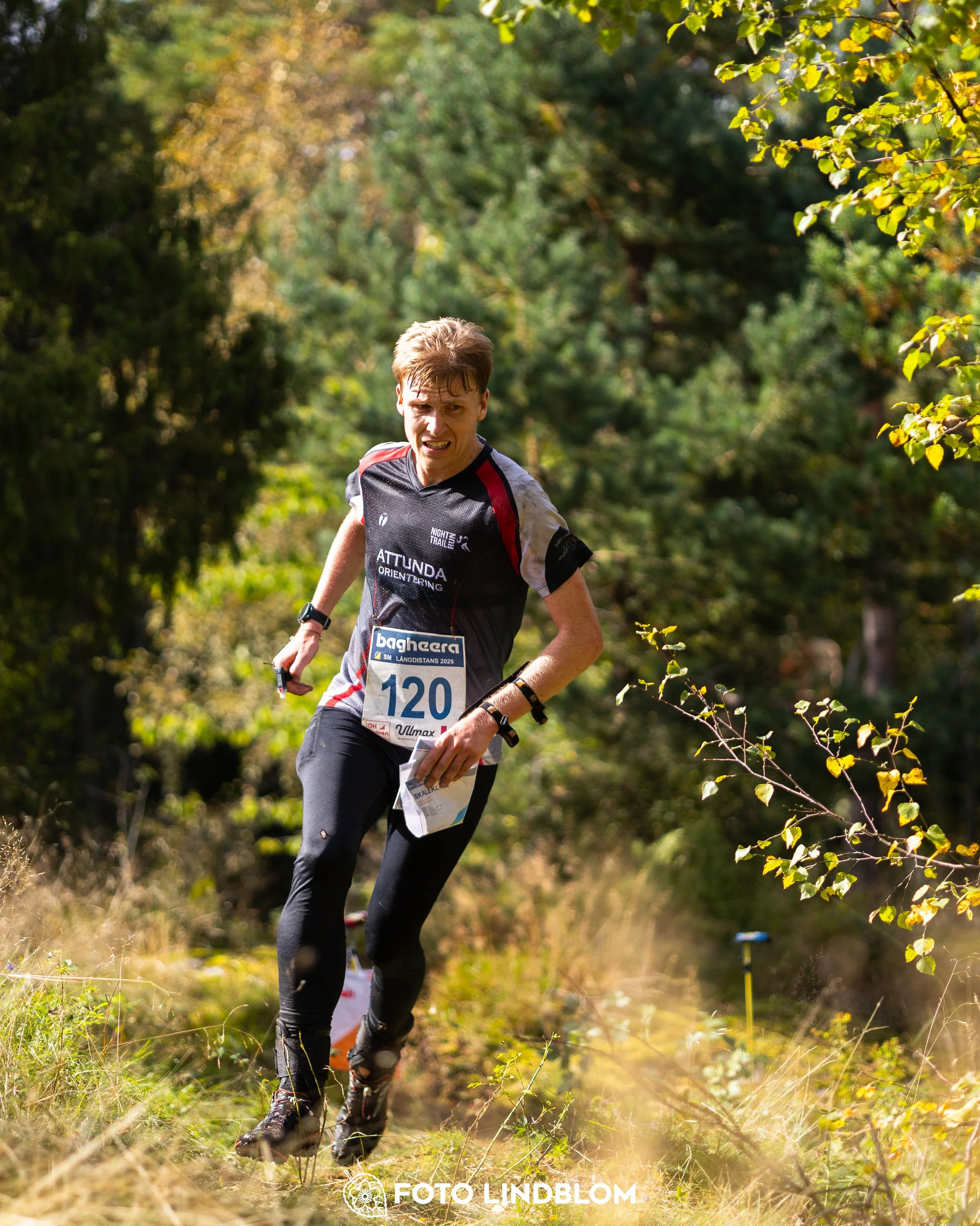 A picture from the Swedish national championship in long distance orienteering and Swedish league race taken by Foto Lindblom