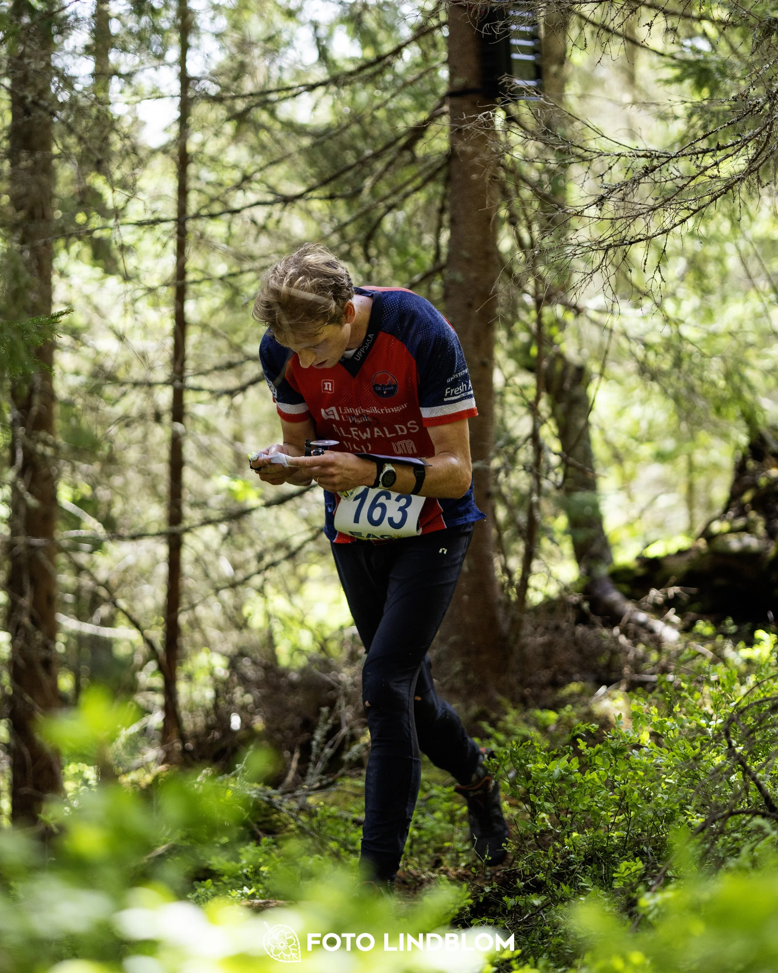 A picture from the seventh stage of the Swedish League orienteering competition