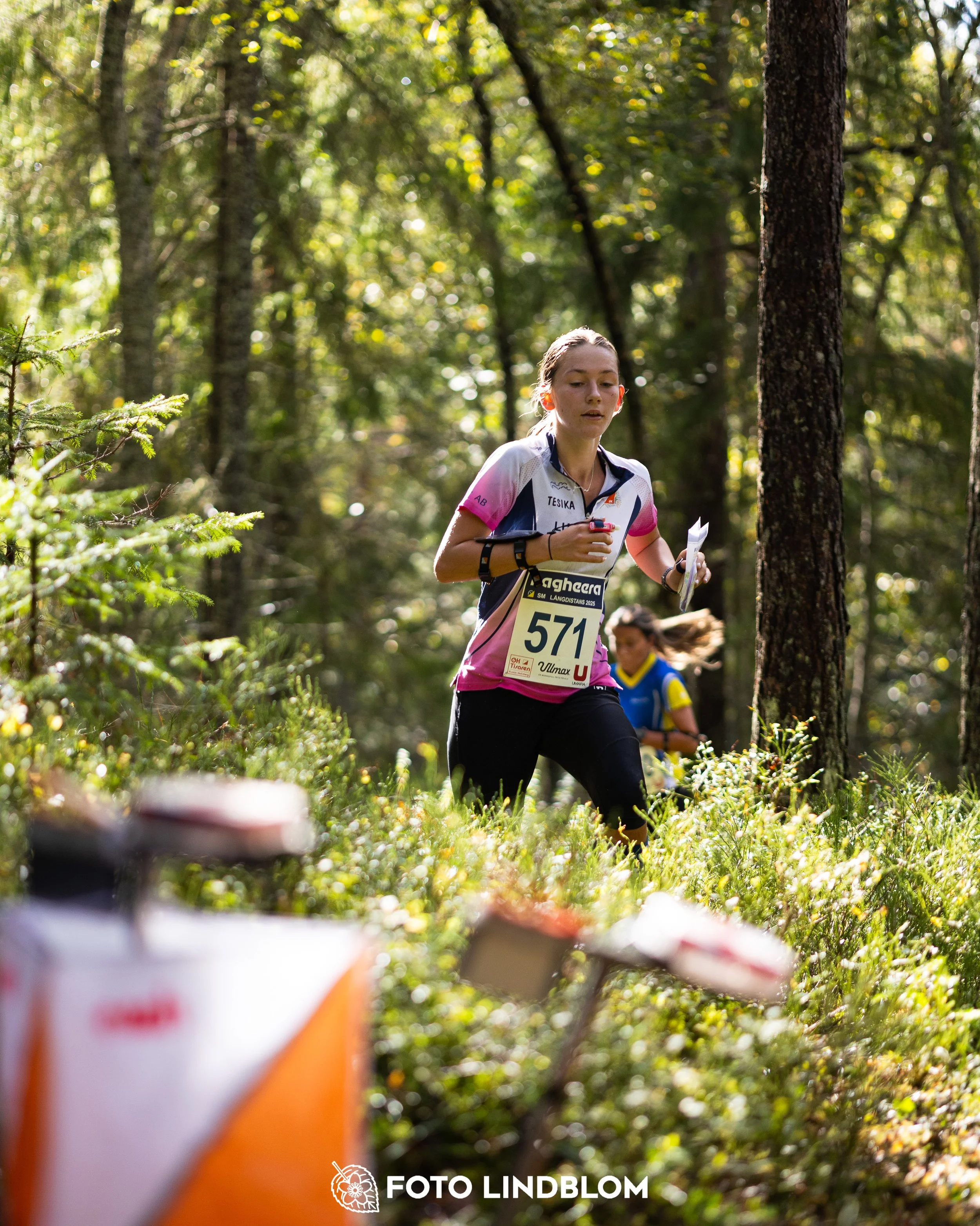 A picture from the Swedish national championship in long distance orienteering and Swedish league race taken by Foto Lindblom