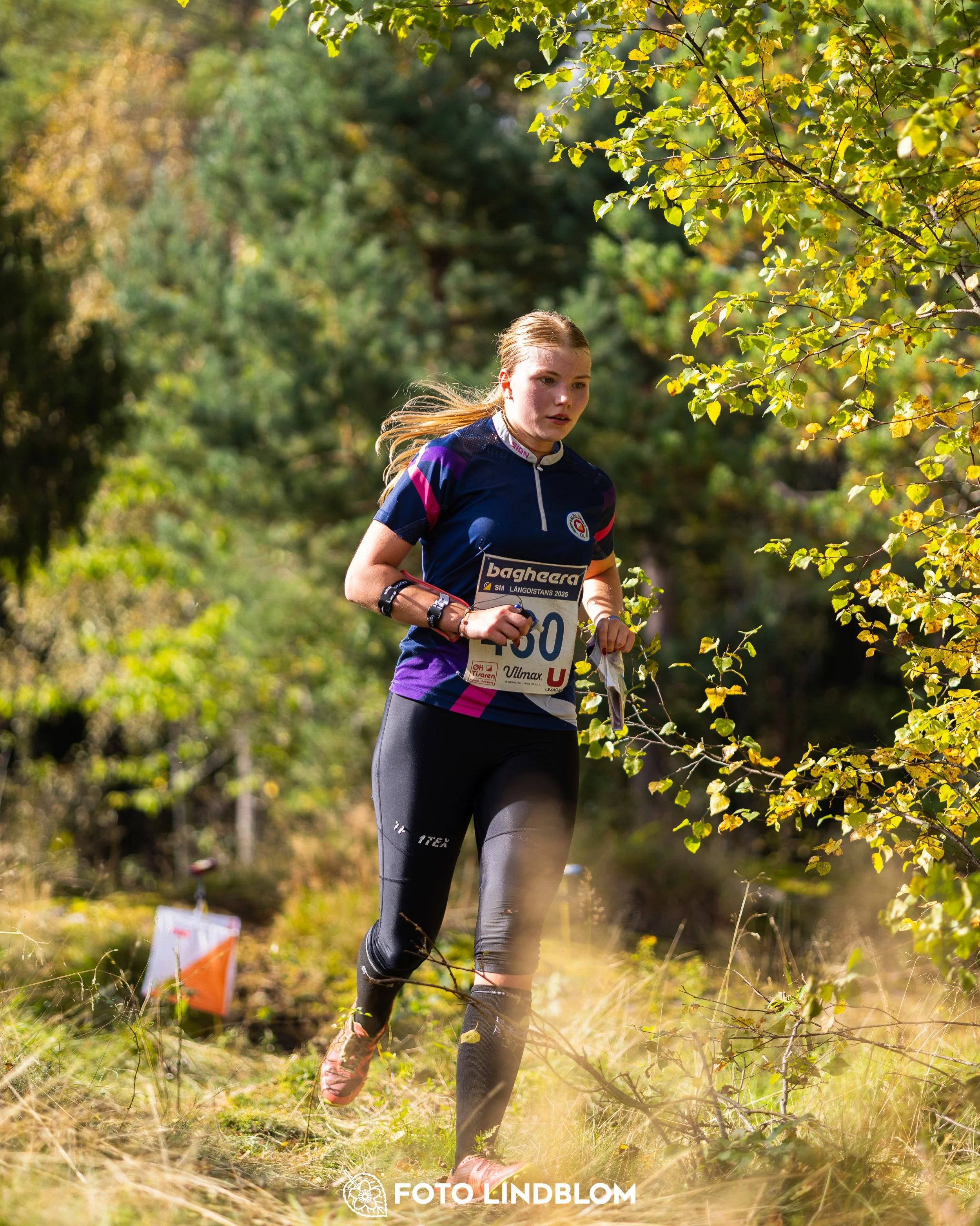 A picture from the Swedish national championship in long distance orienteering and Swedish league race taken by Foto Lindblom