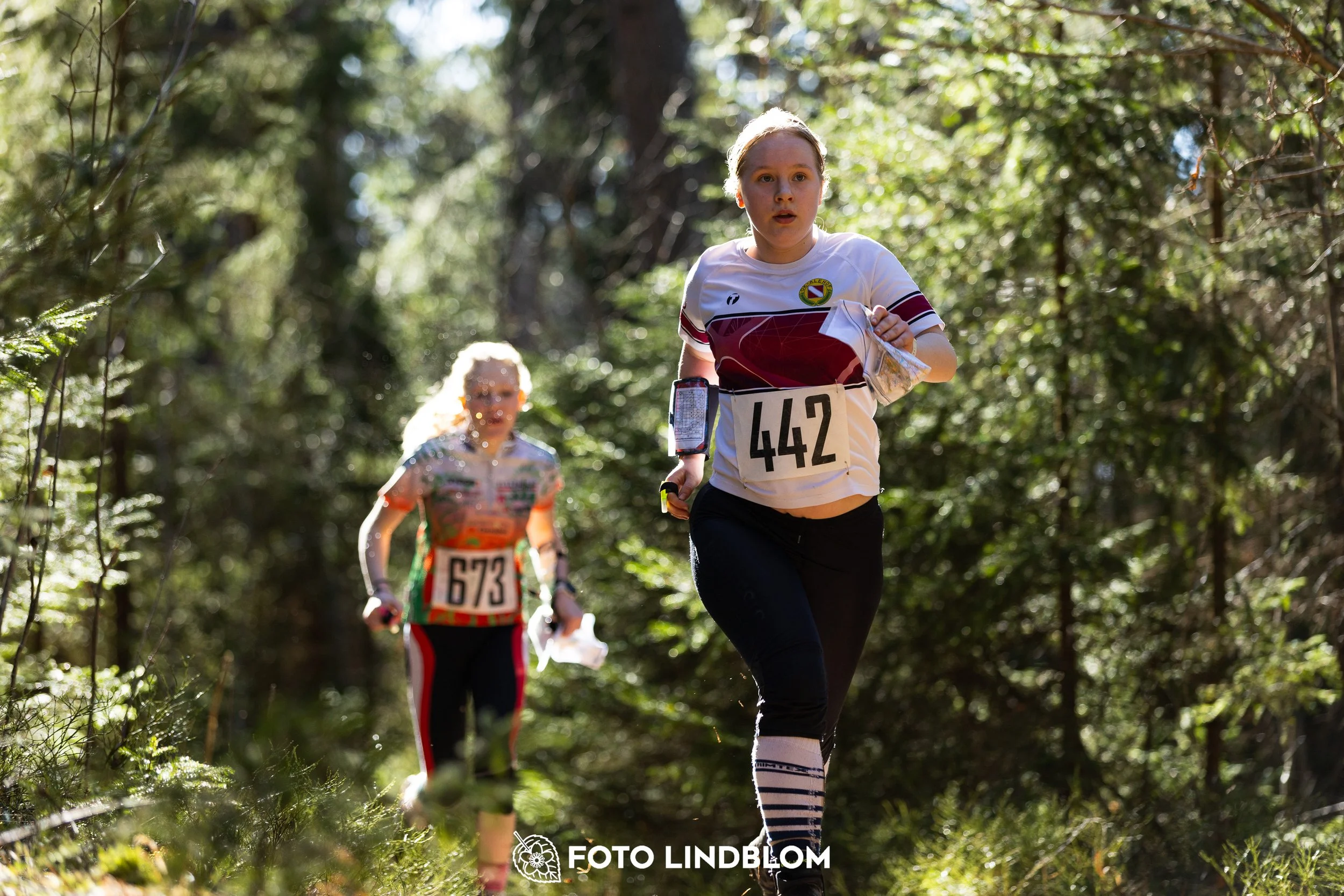This picture shows competitors during Nyköpingsorienteringen 2026 navigating through forest terrain, photographed by Foto Lindblom.