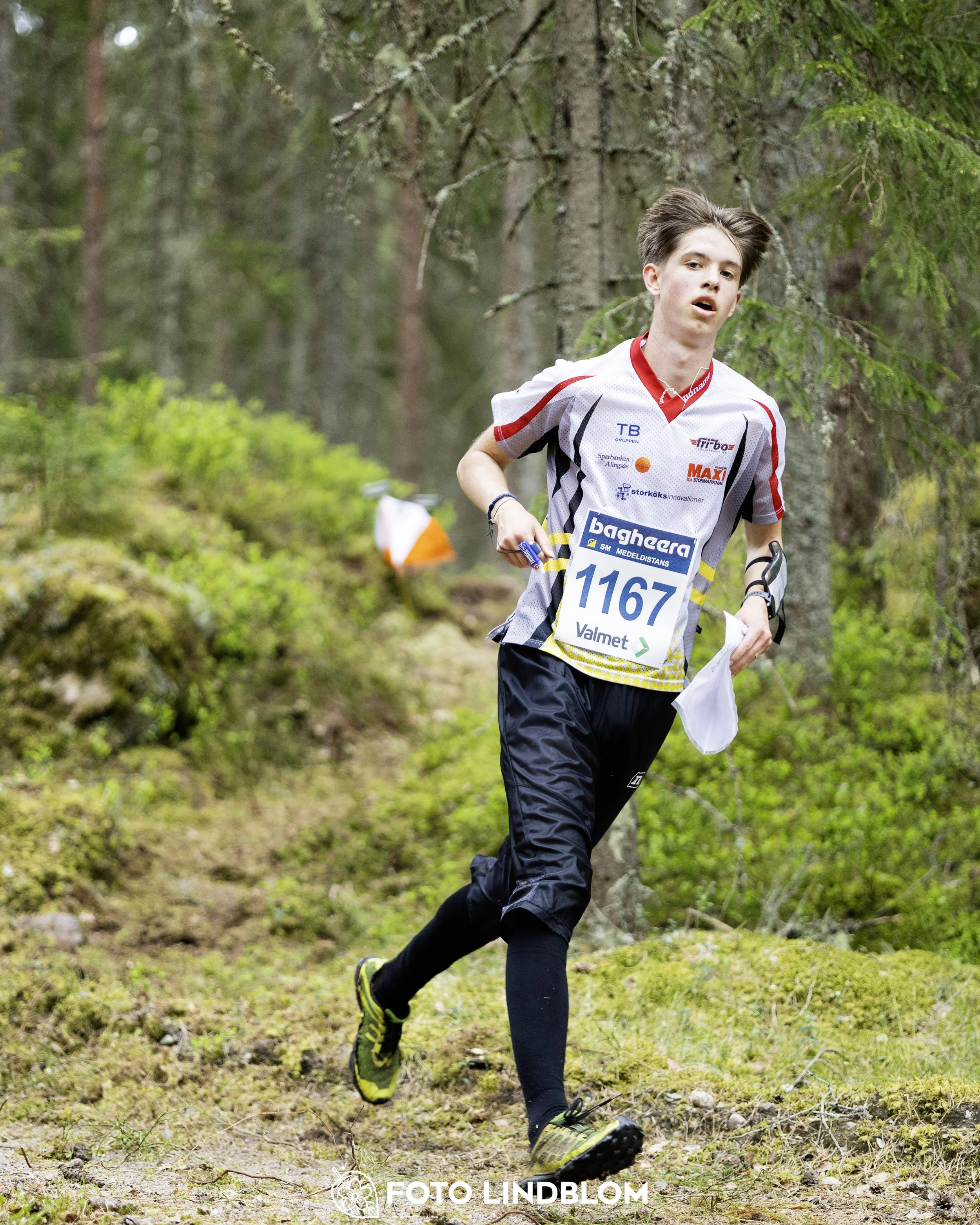 A picture from the Swedish national championship in middle distance orienteering and Swedish league race