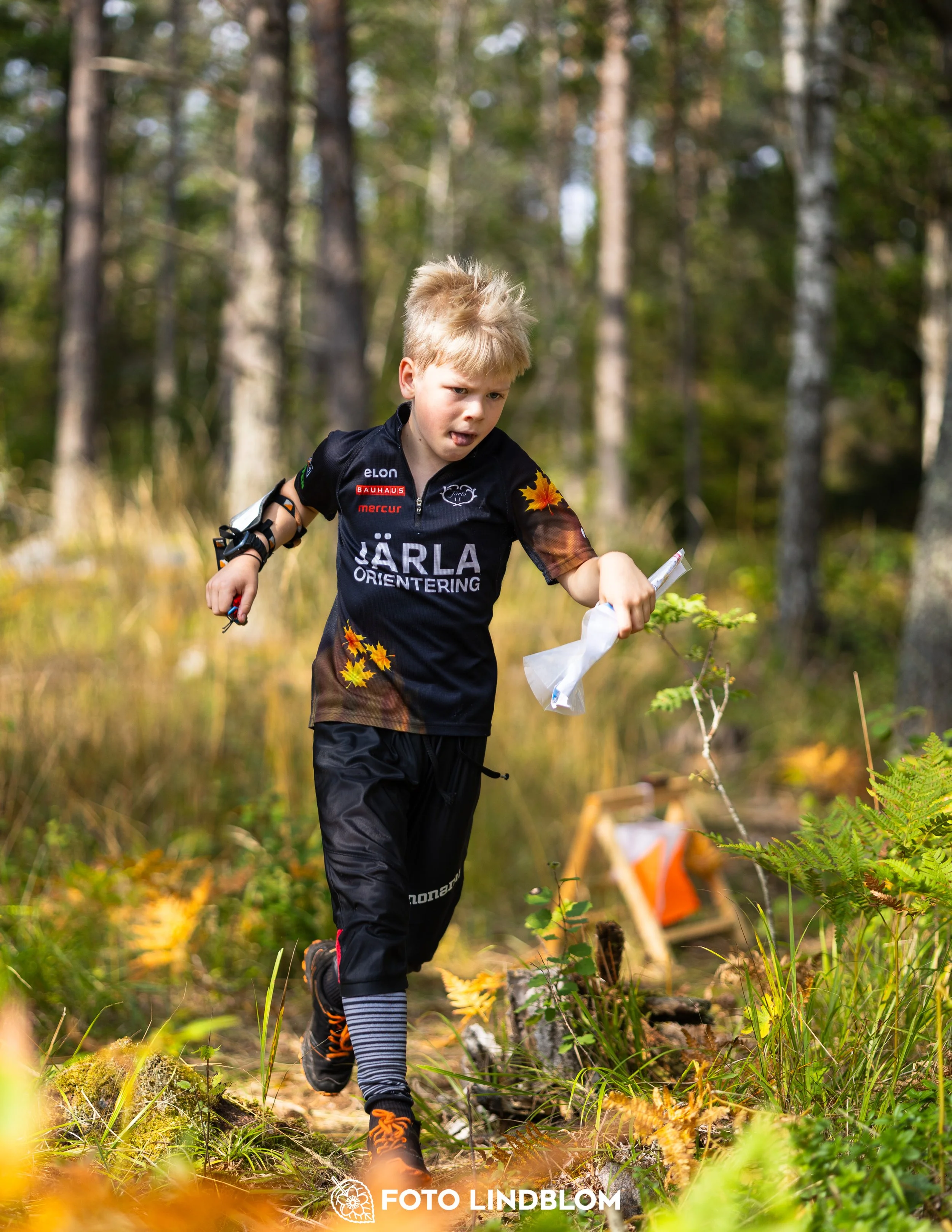 A picture from the Stockholm district championship in middle distance orienteering taken by Foto Lindblom