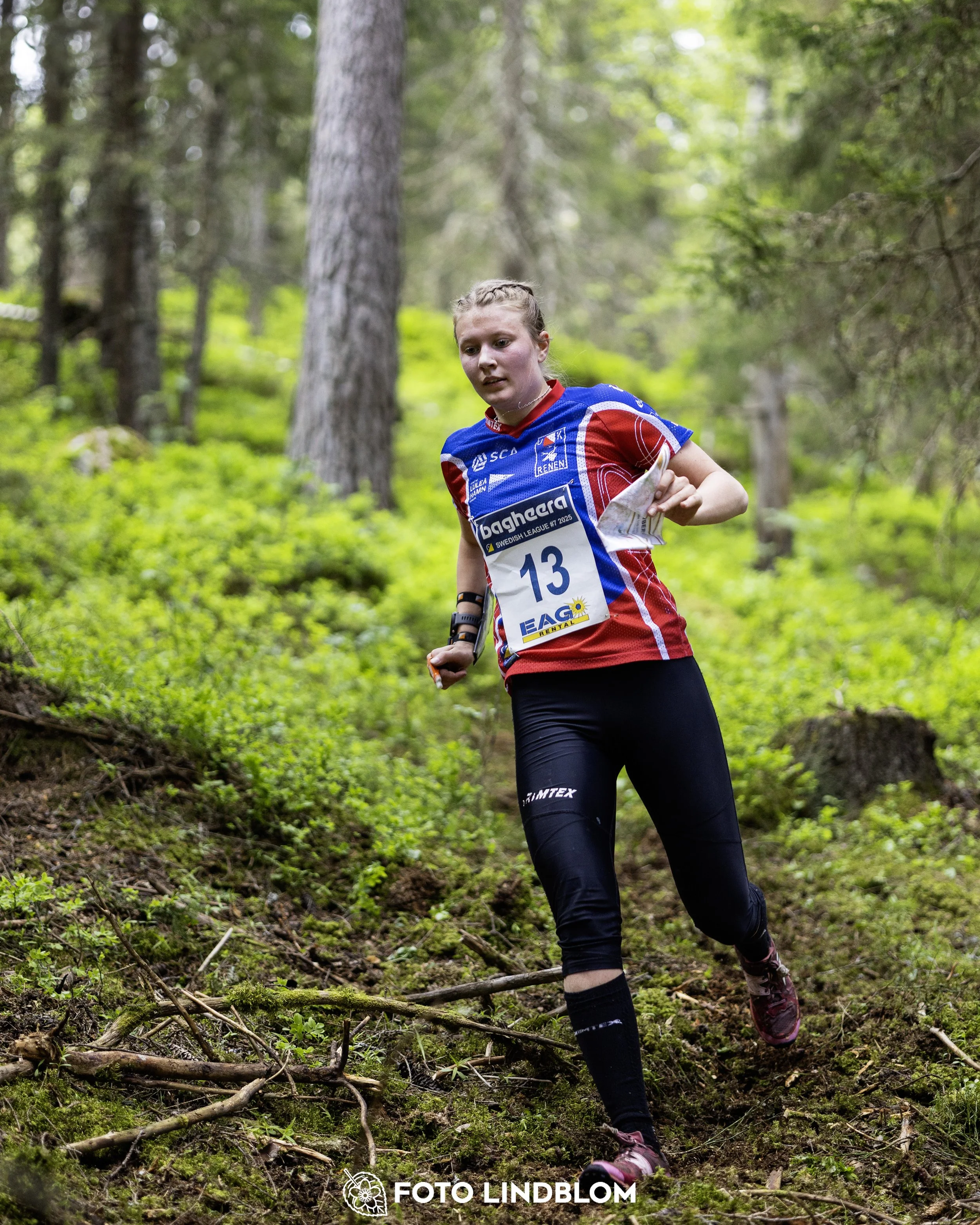A picture from the seventh stage of the Swedish League orienteering competition