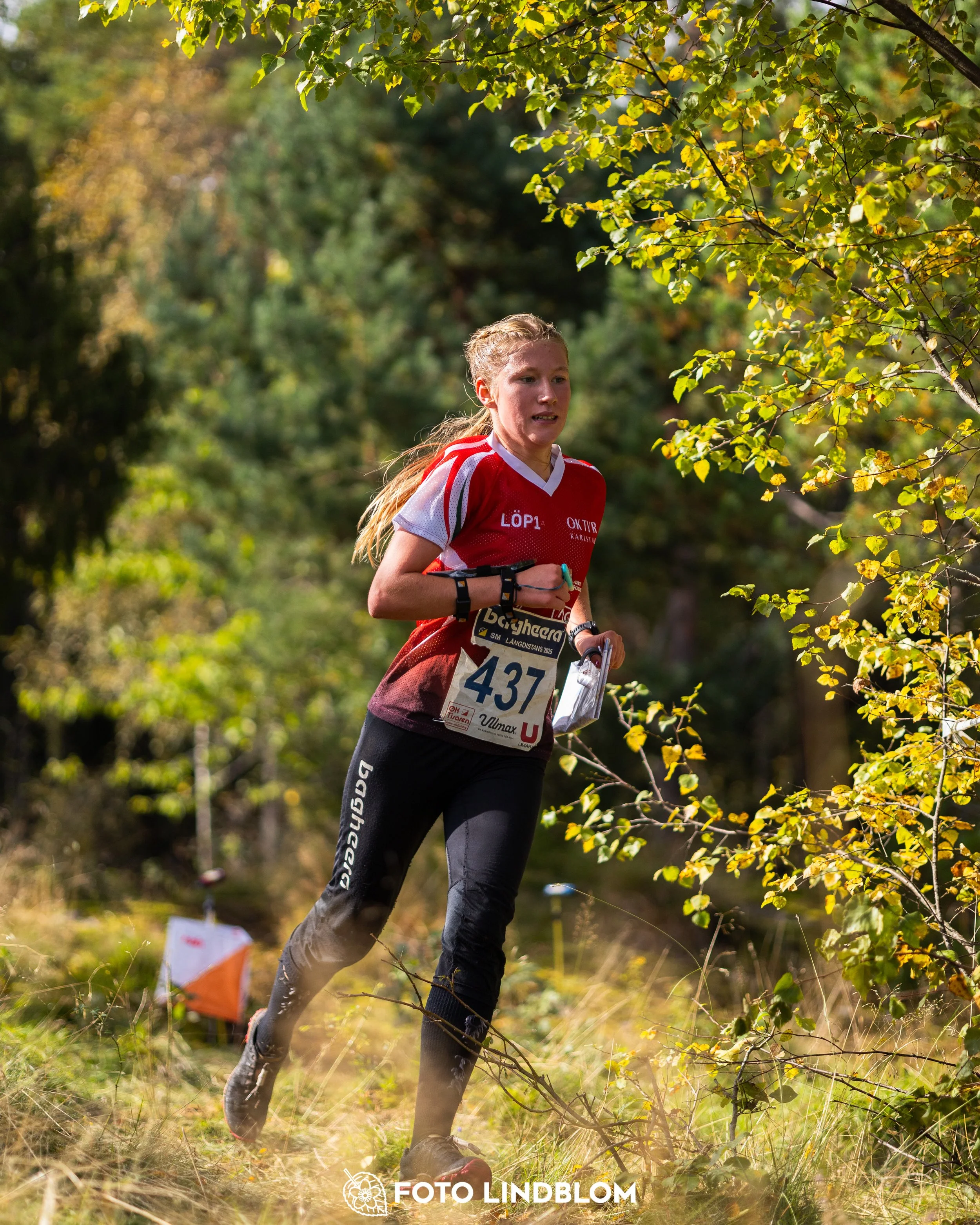 A picture from the Swedish national championship in long distance orienteering and Swedish league race taken by Foto Lindblom