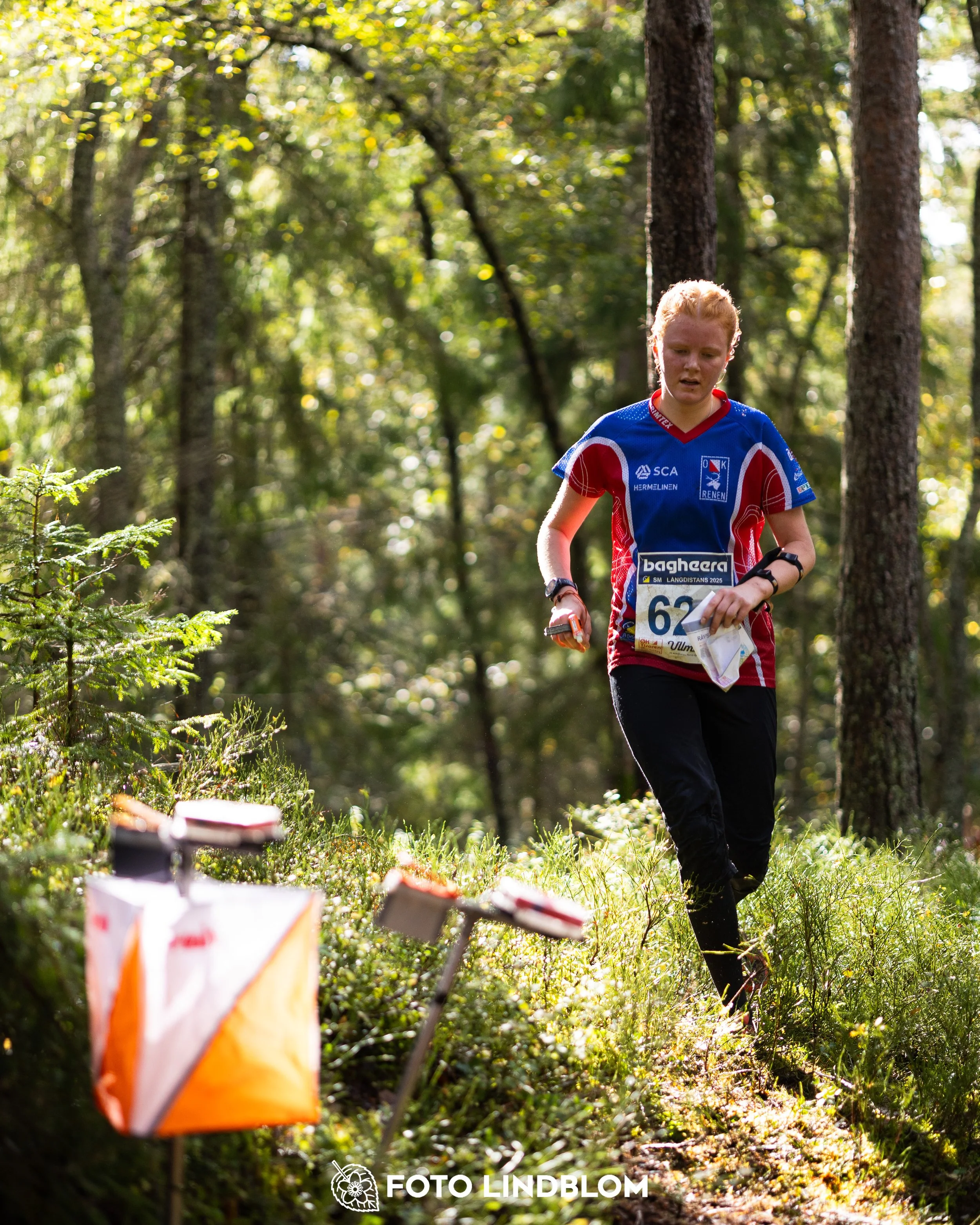A picture from the Swedish national championship in long distance orienteering and Swedish league race taken by Foto Lindblom