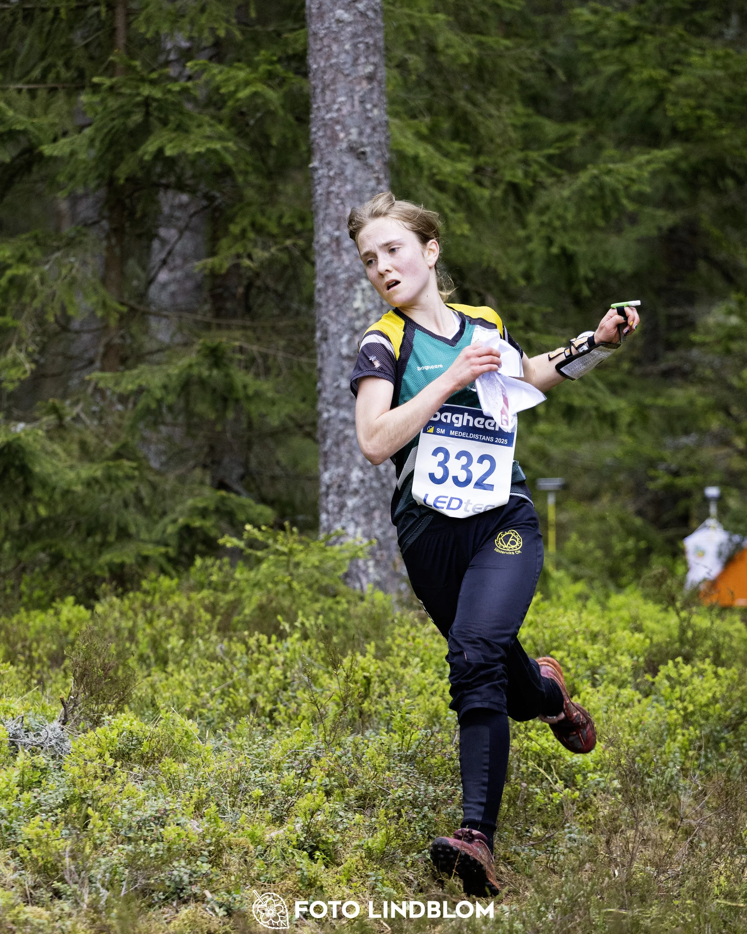 A picture from the Swedish national championship in middle distance orienteering and Swedish league race