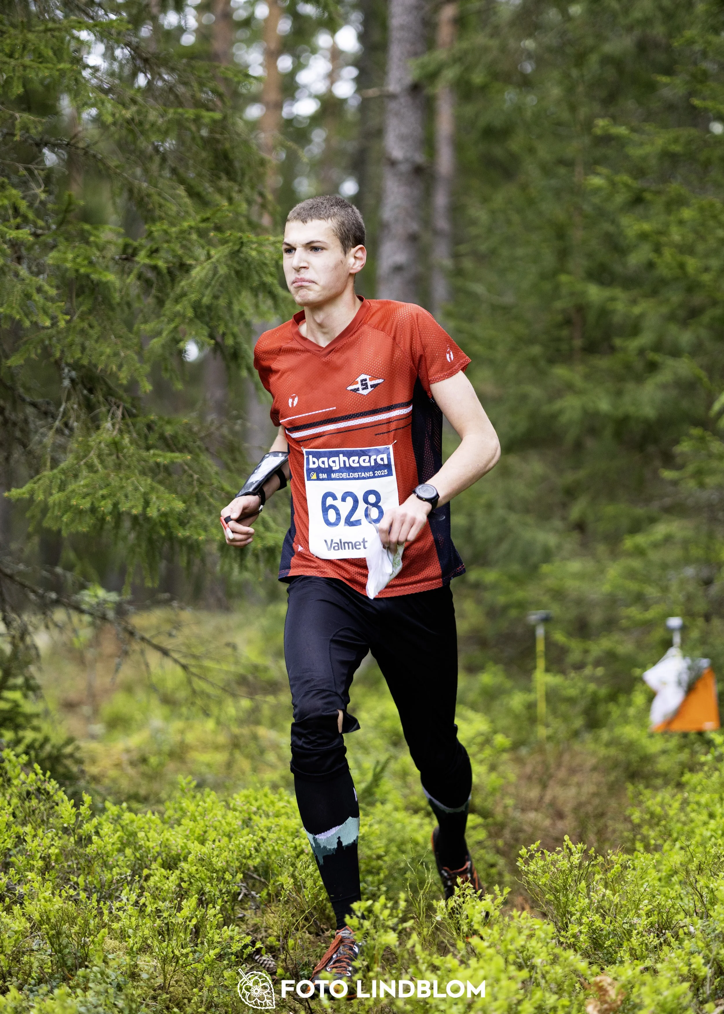 A picture from the Swedish national championship in middle distance orienteering and Swedish league race