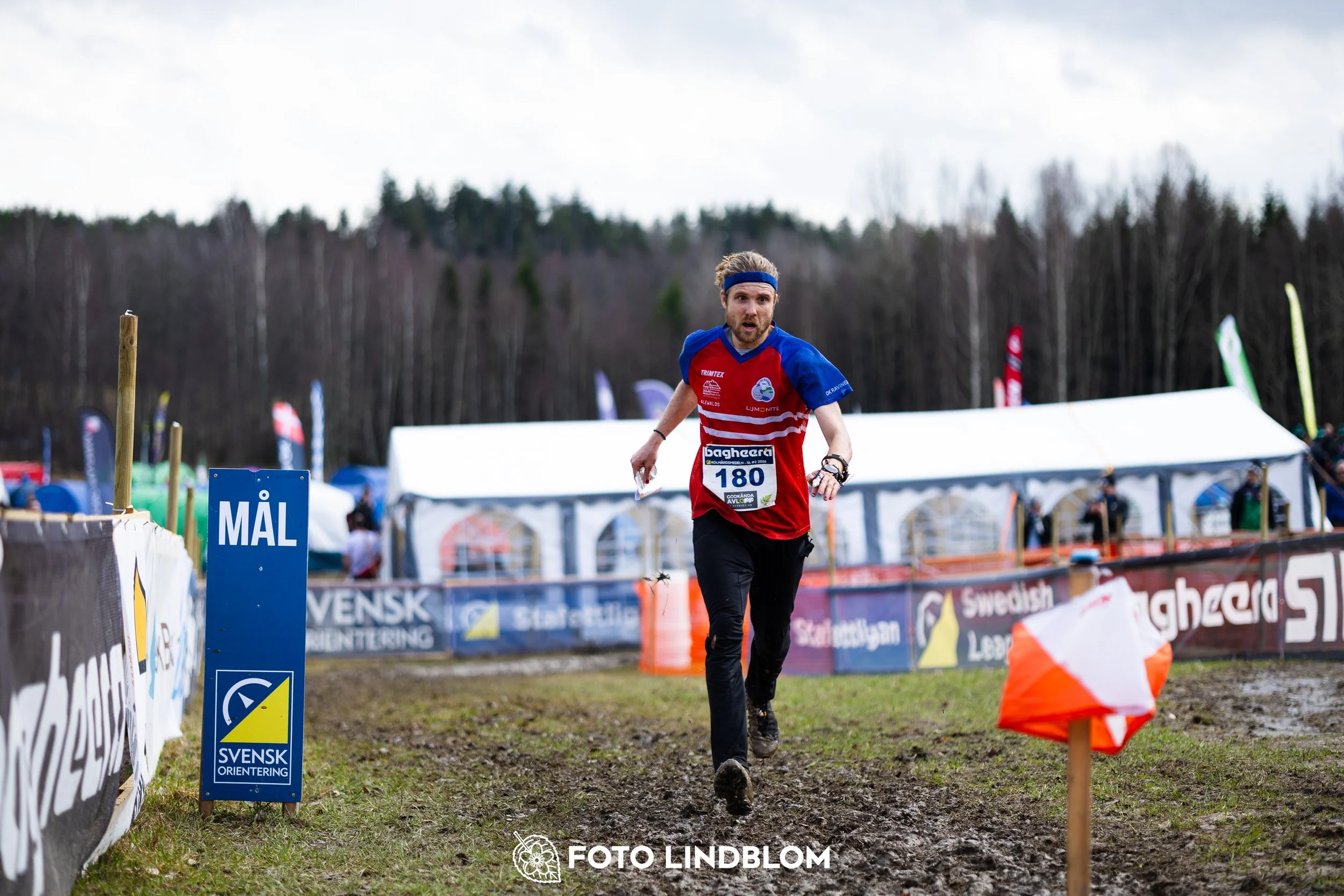 A moment from a middle distance orienteering race in Kolmården during the Swedish League 2026, showing Gustav Bergman, captured by Foto Lindblom.