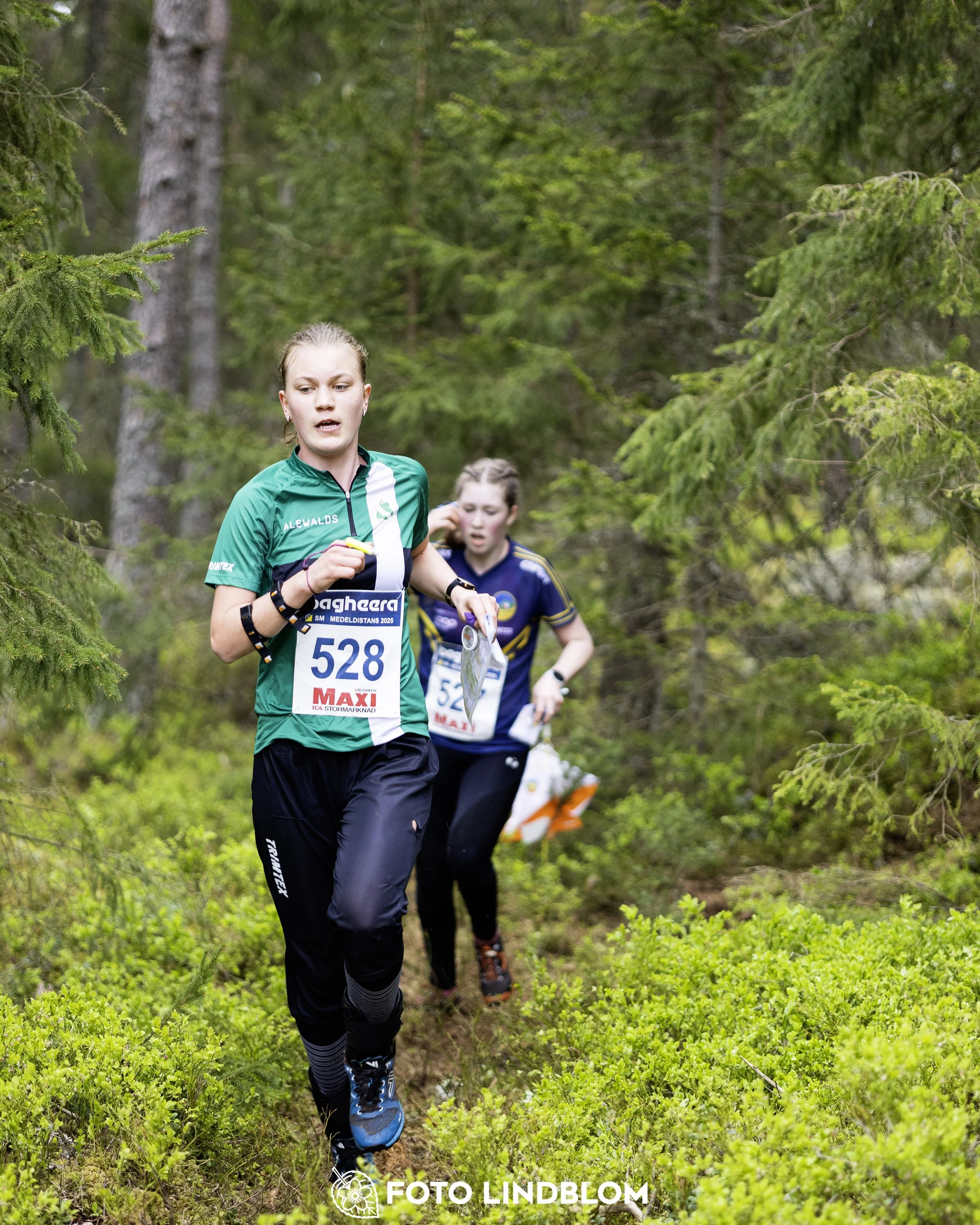 A picture from the Swedish national championship in middle distance orienteering and Swedish league race