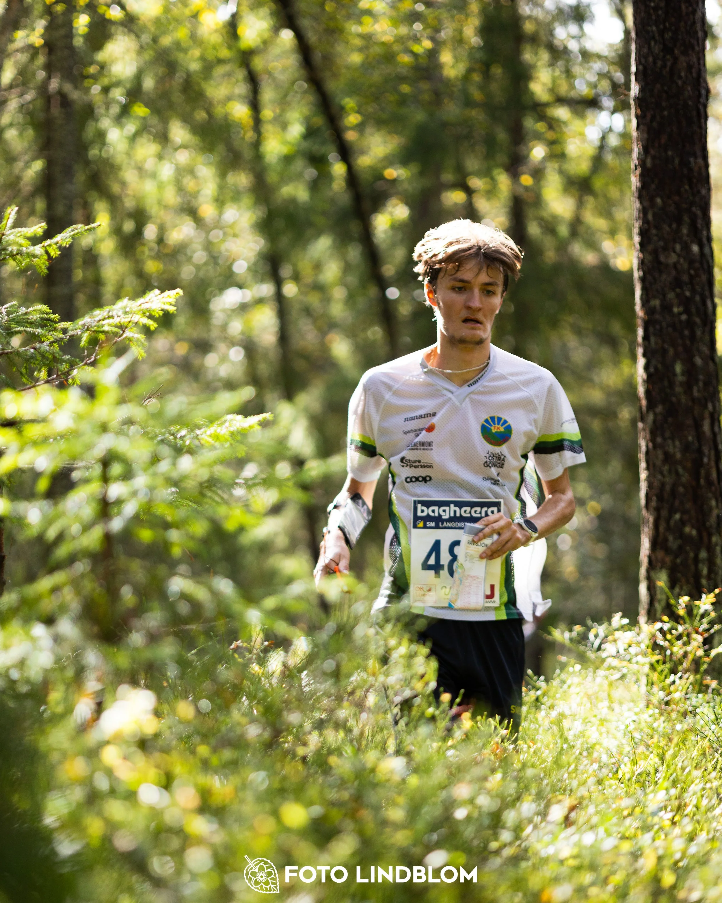 A picture from the Swedish national championship in long distance orienteering and Swedish league race taken by Foto Lindblom