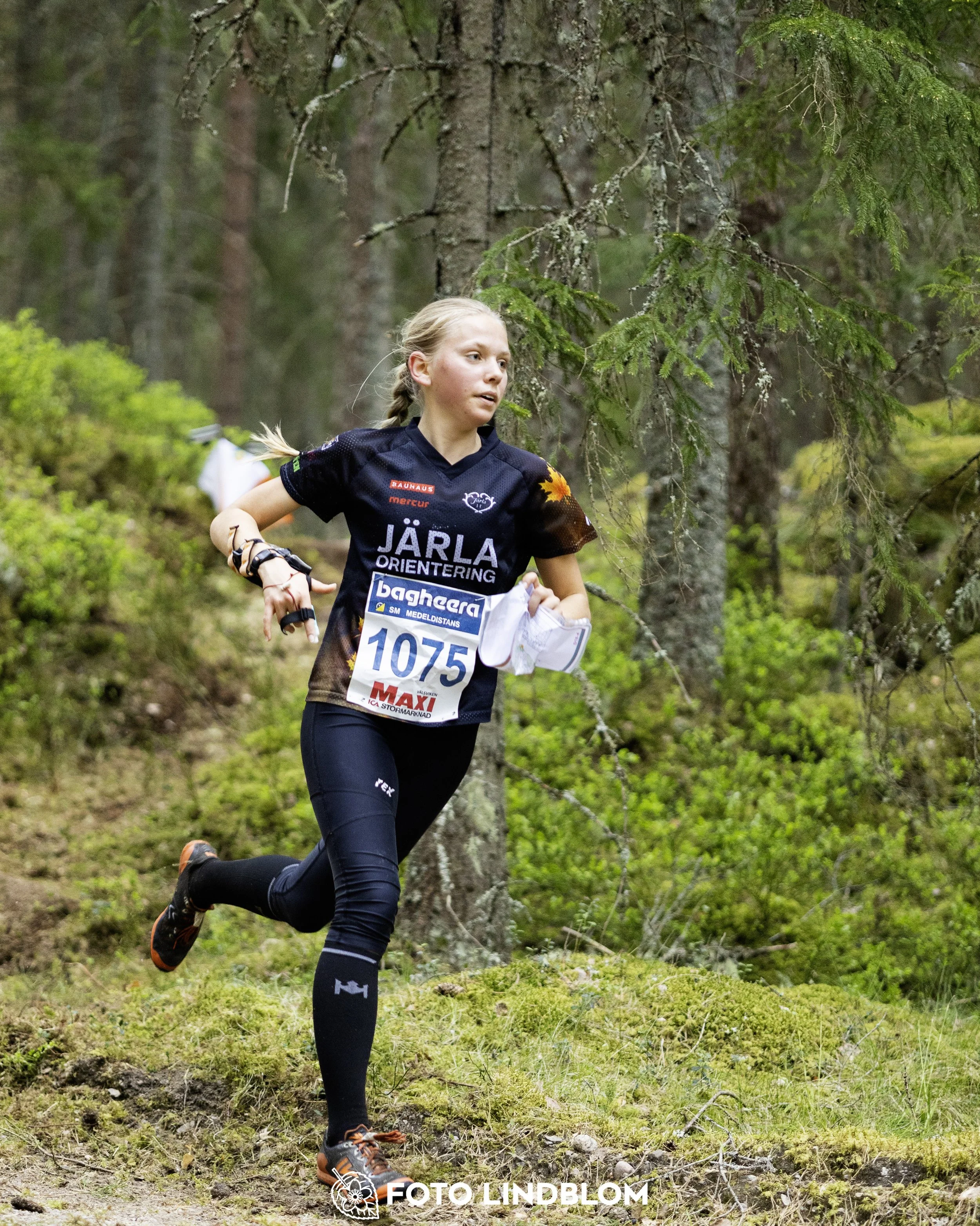 A picture from the Swedish national championship in middle distance orienteering and Swedish league race