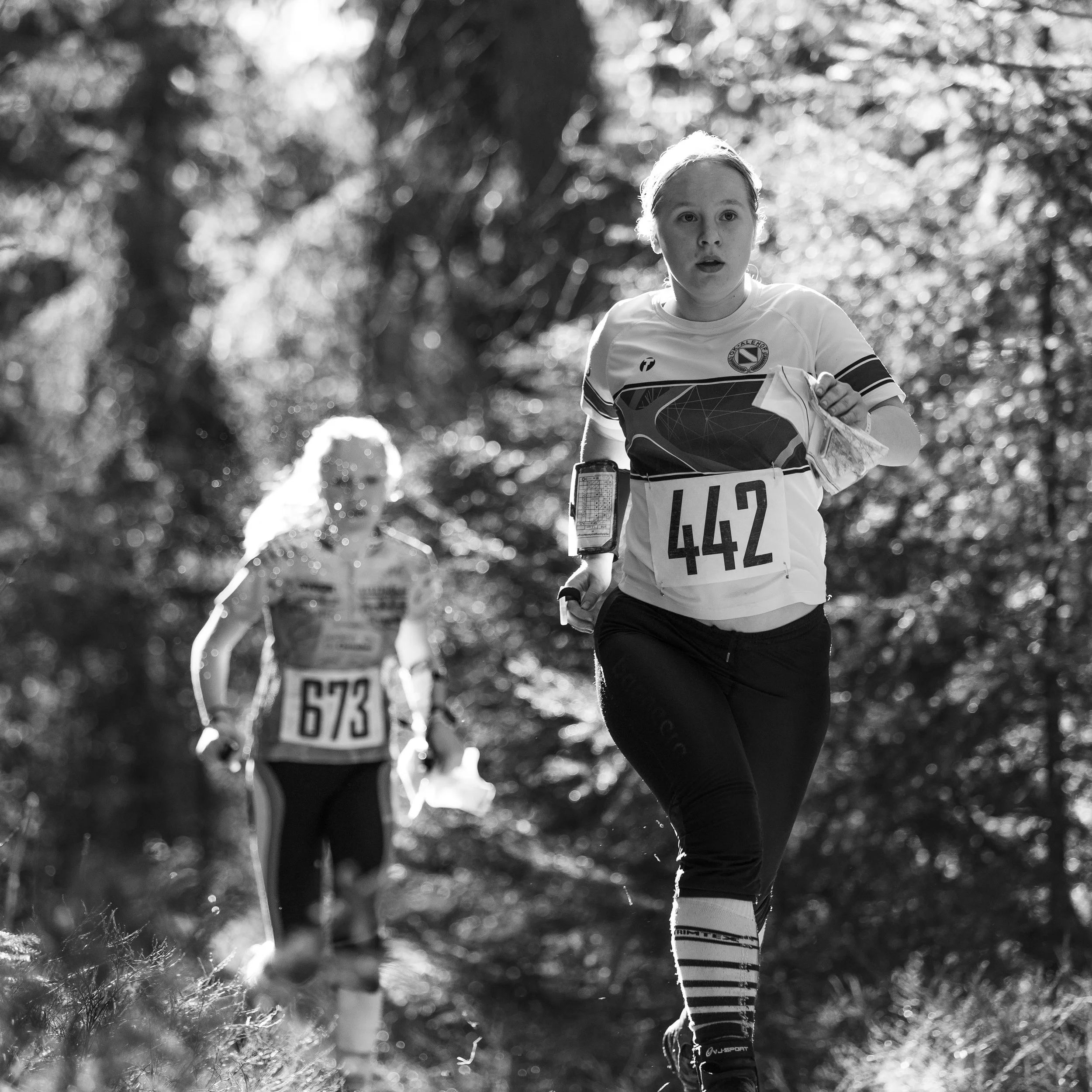 Nyköpingsorienteringen