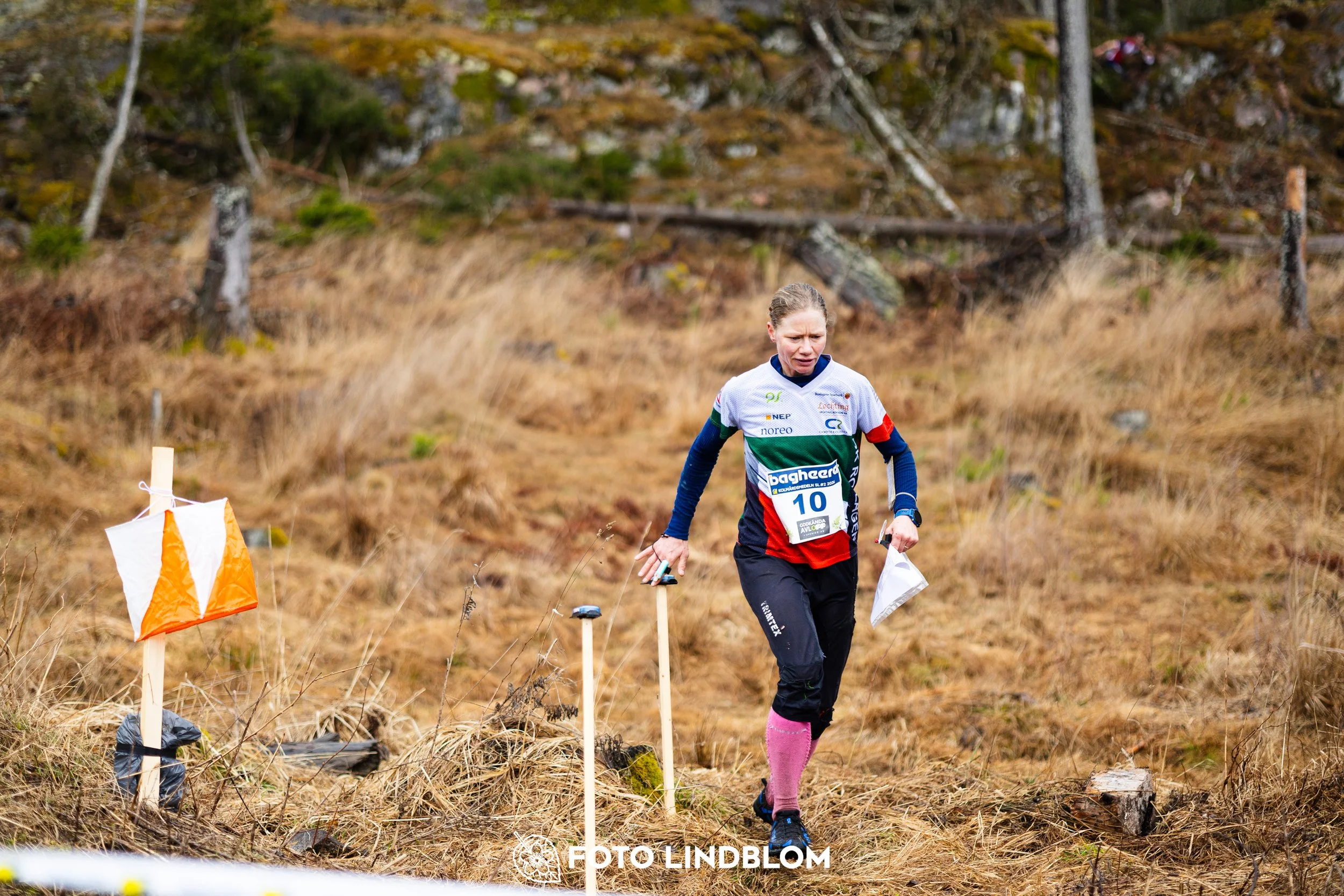 A scene from the Swedish League orienteering competition in Kolmården spring 2026, captured by Foto Lindblom.