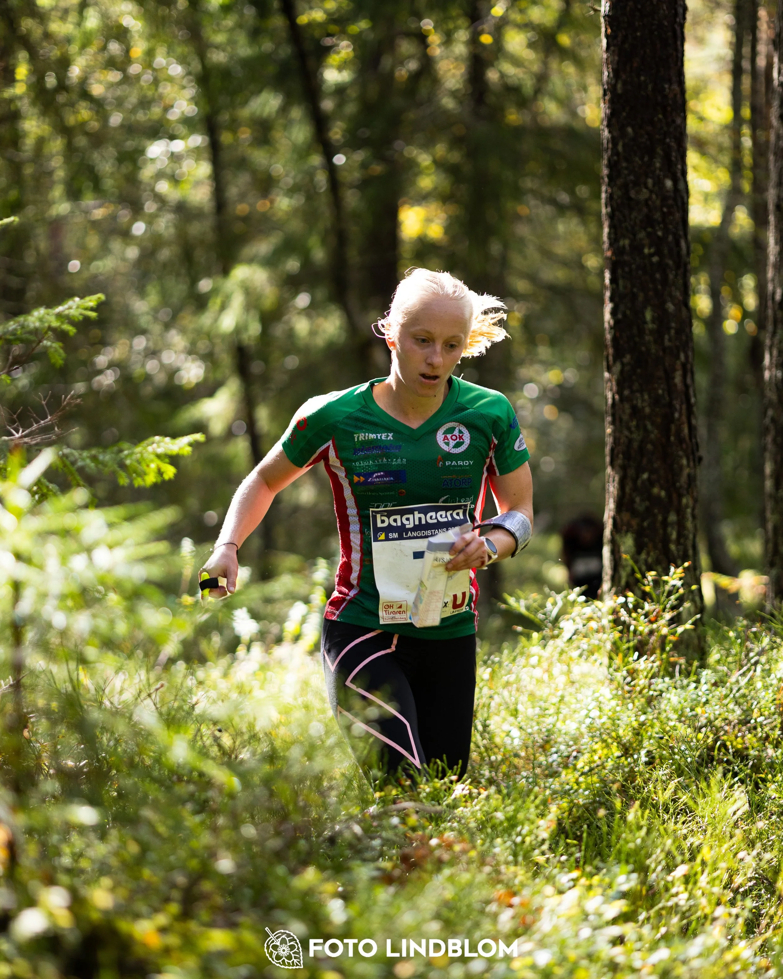 A picture from the Swedish national championship in long distance orienteering and Swedish league race taken by Foto Lindblom