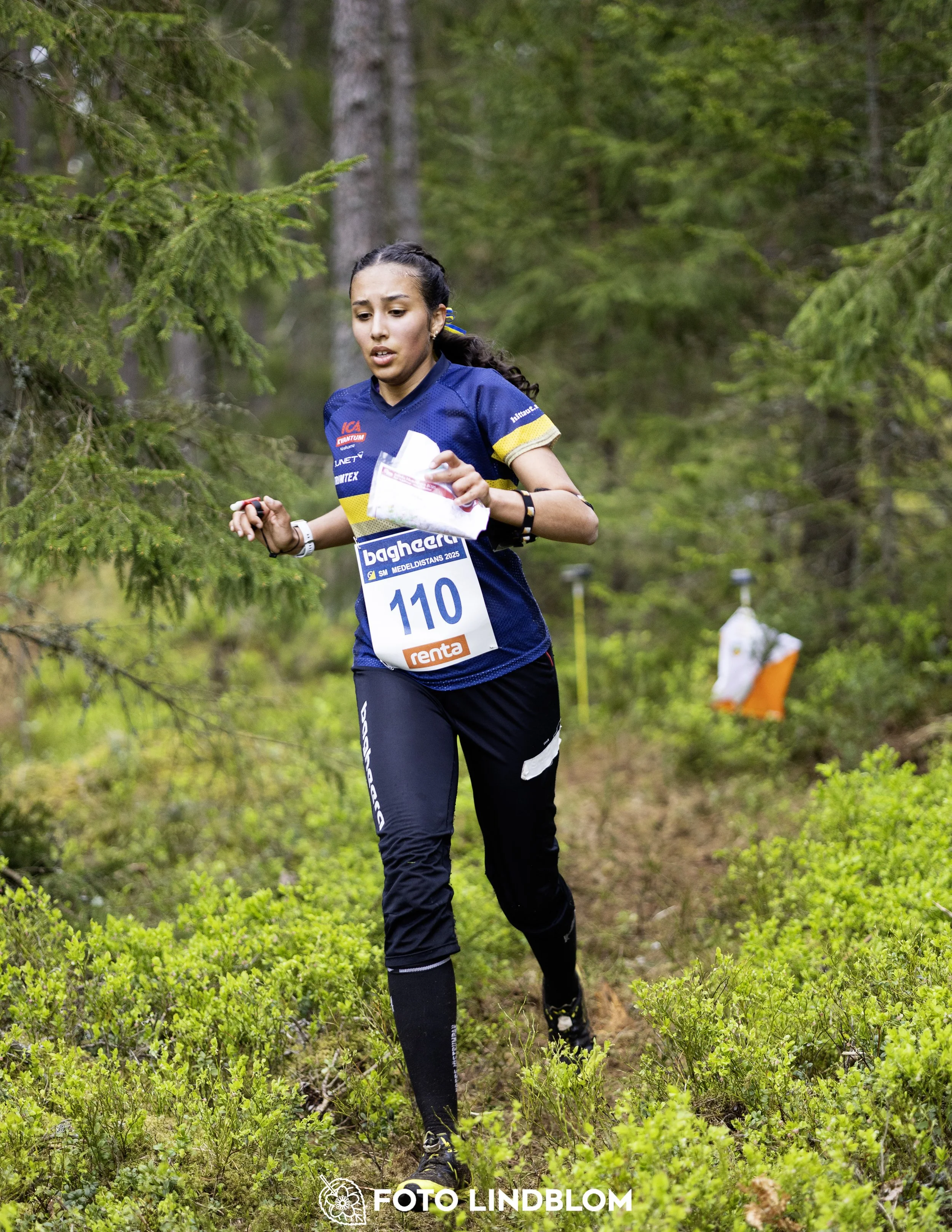 A picture from the Swedish national championship in middle distance orienteering and Swedish league race