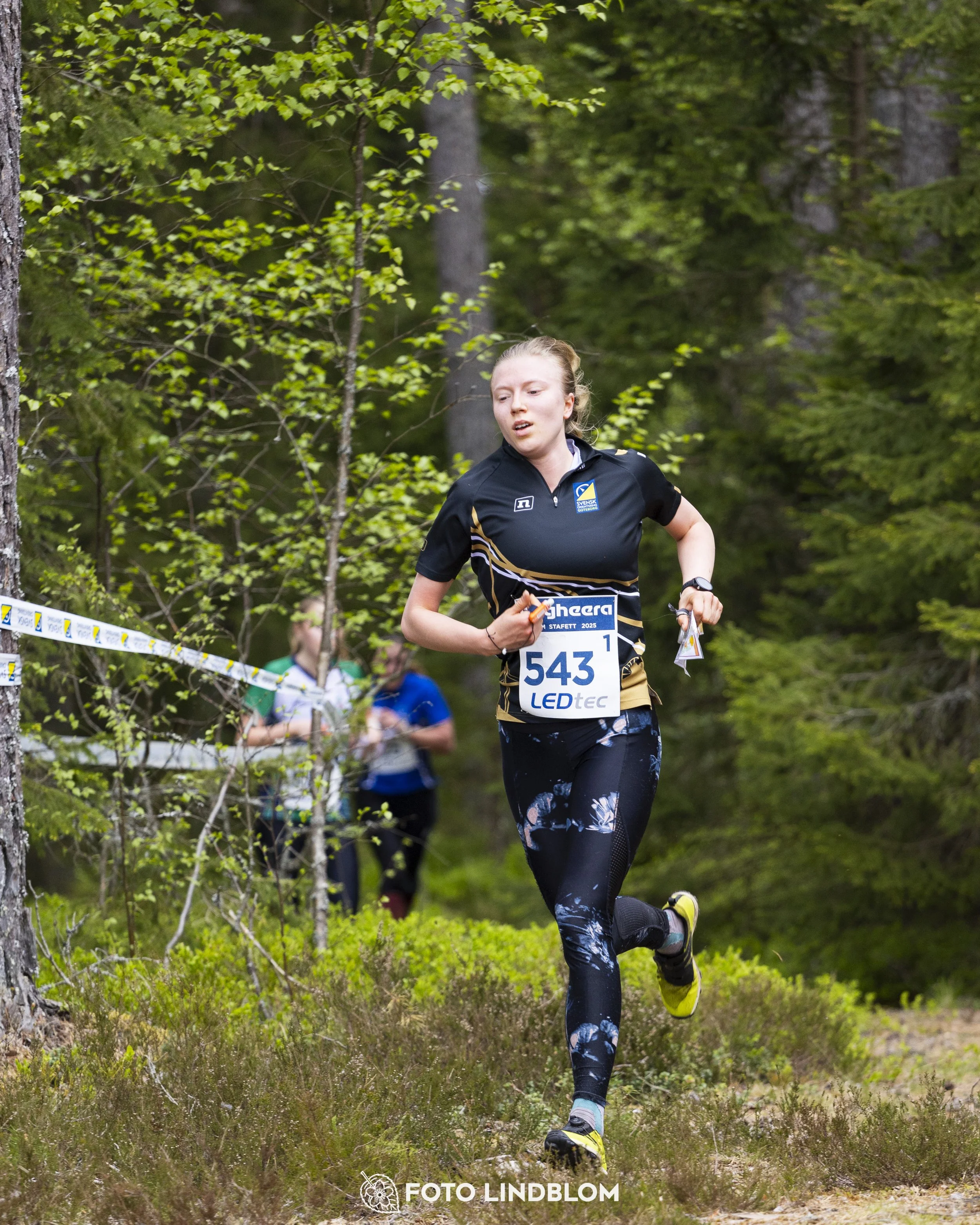A picture from the Swedish national championship in relay orienteering